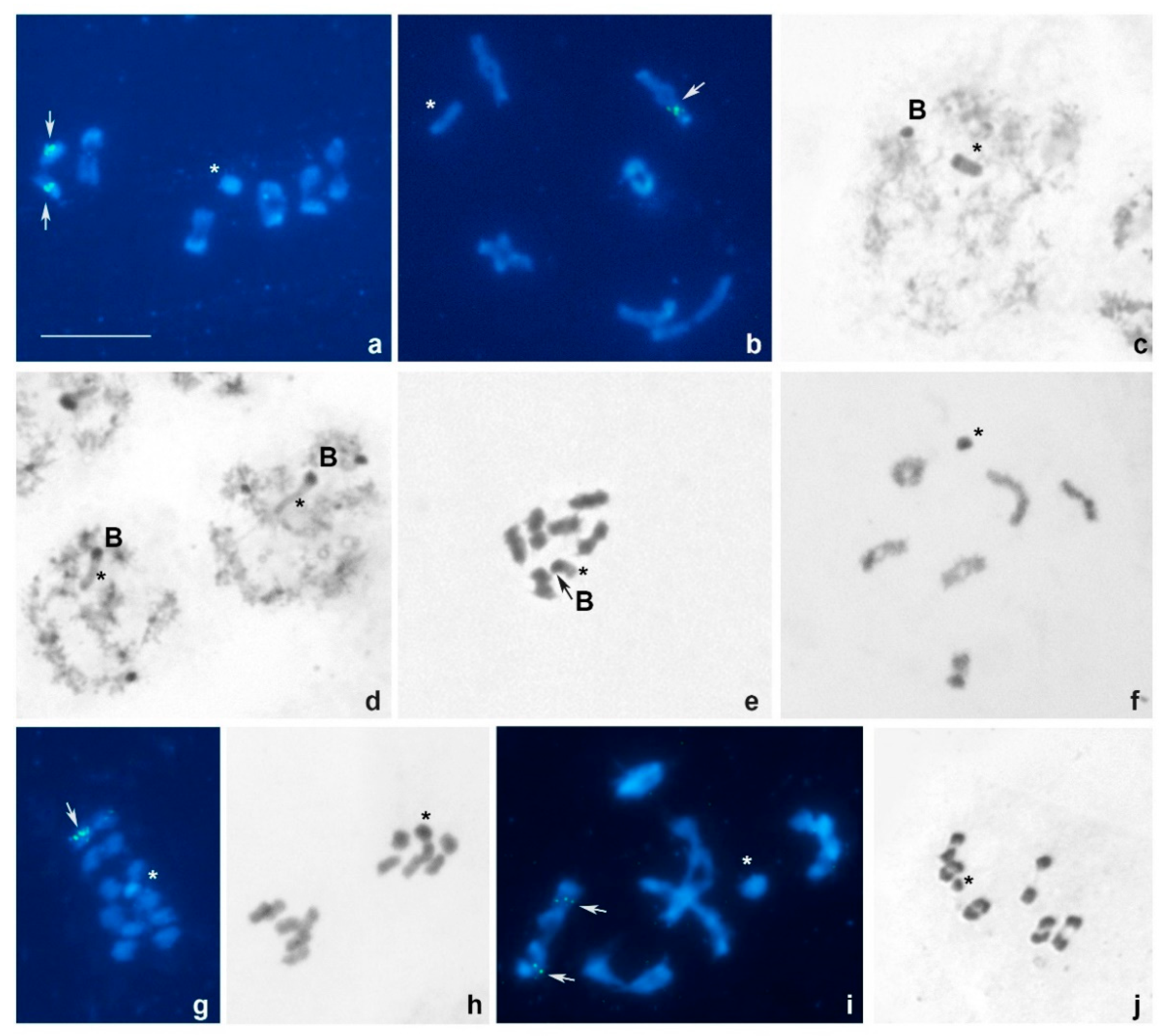 Insects 13 00608 g002 Insects 13 00608 g002