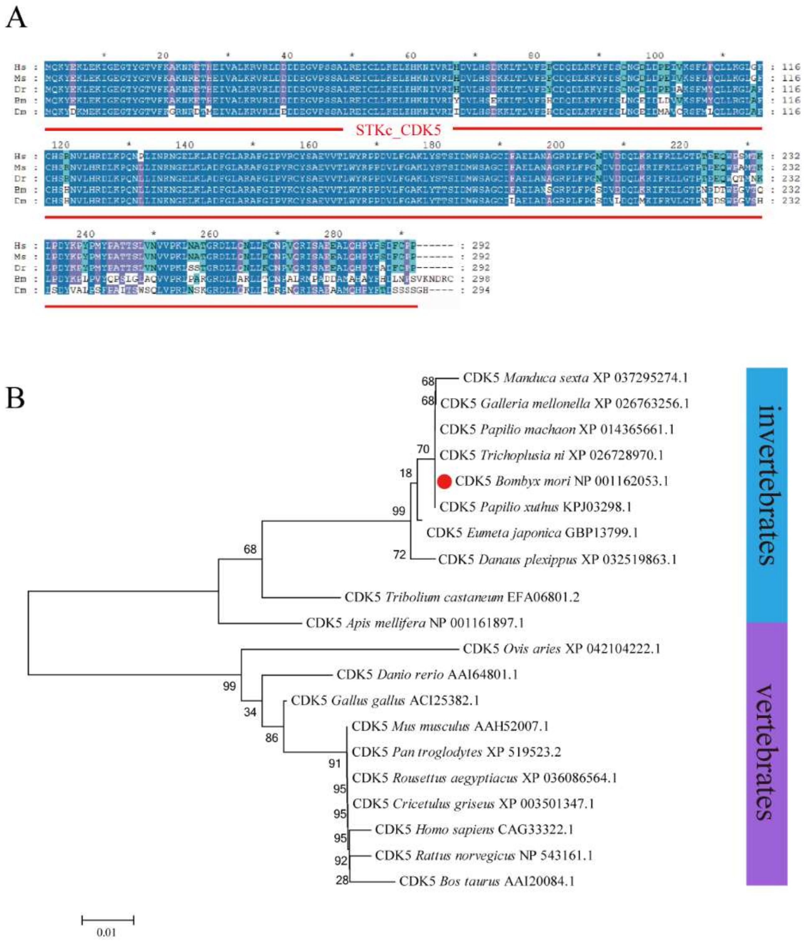 Insects 13 00609 g001