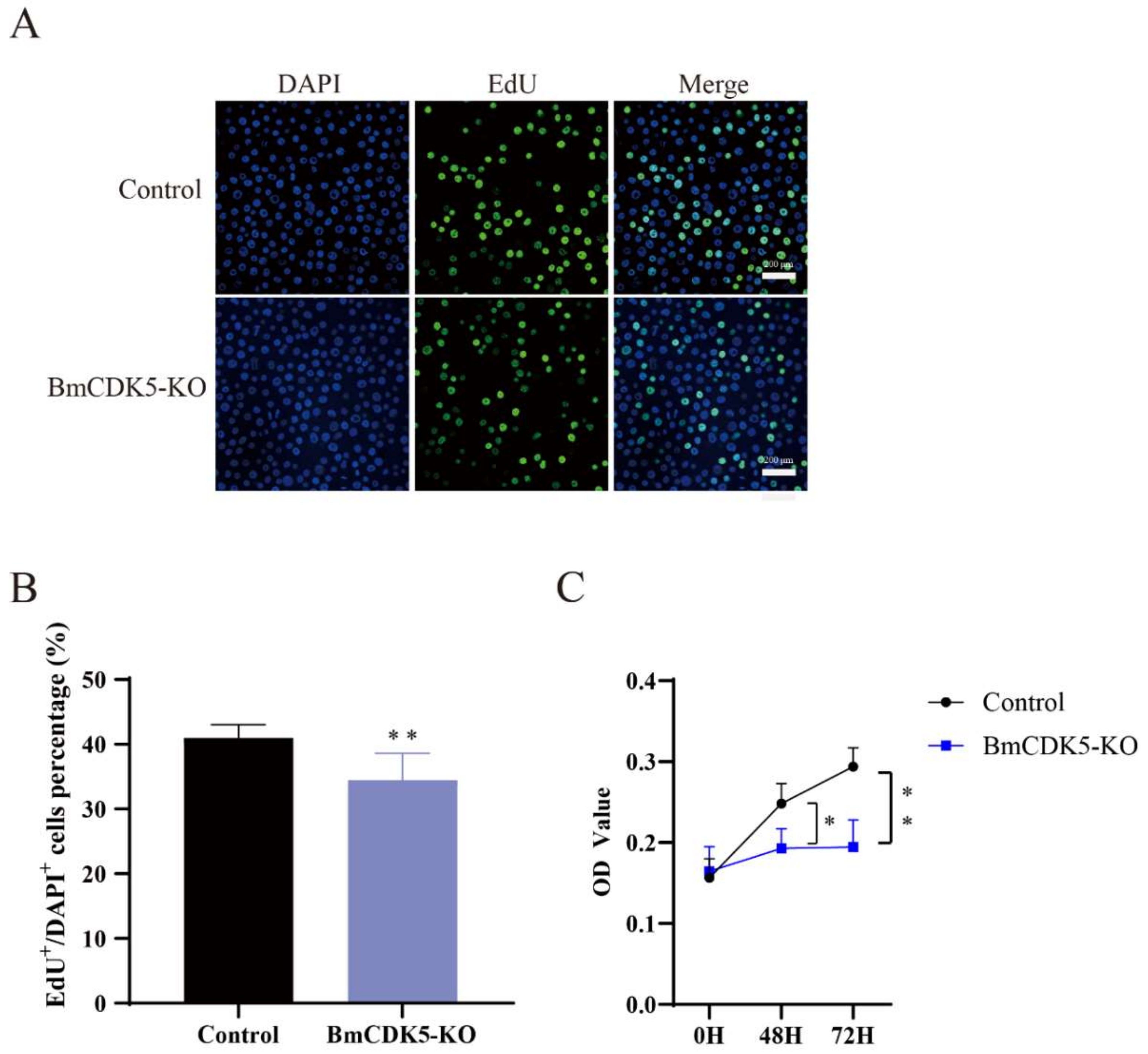 Insects 13 00609 g004