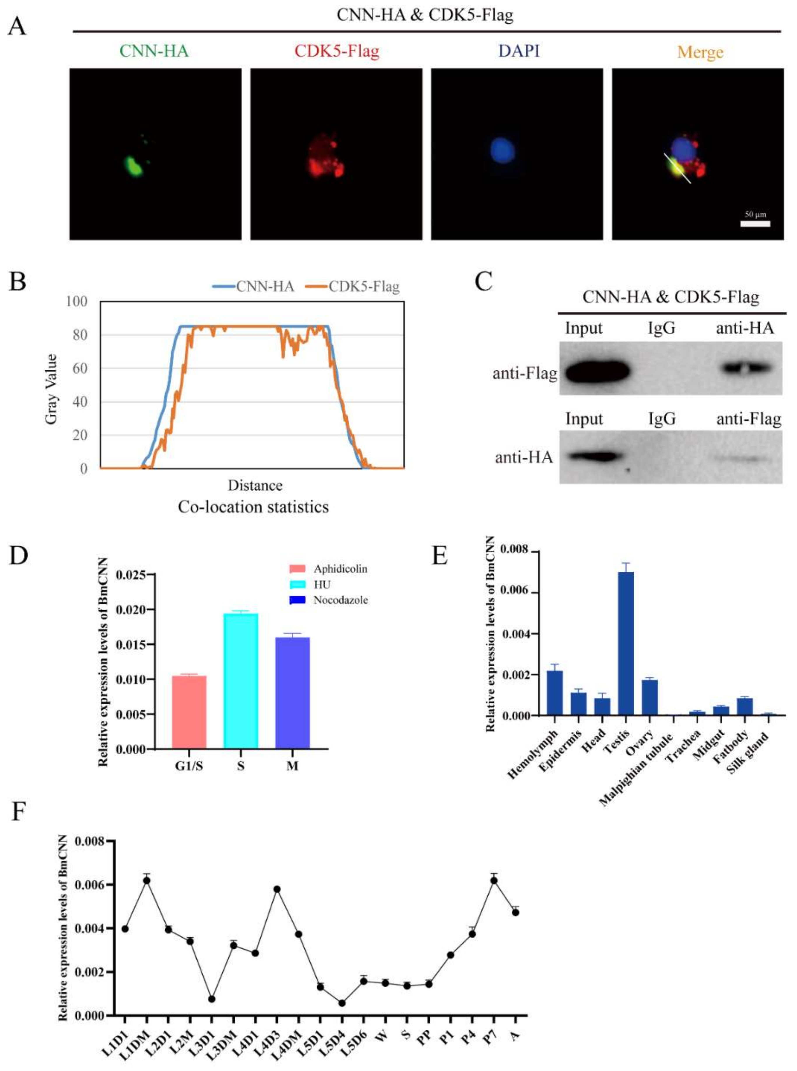 Insects 13 00609 g005