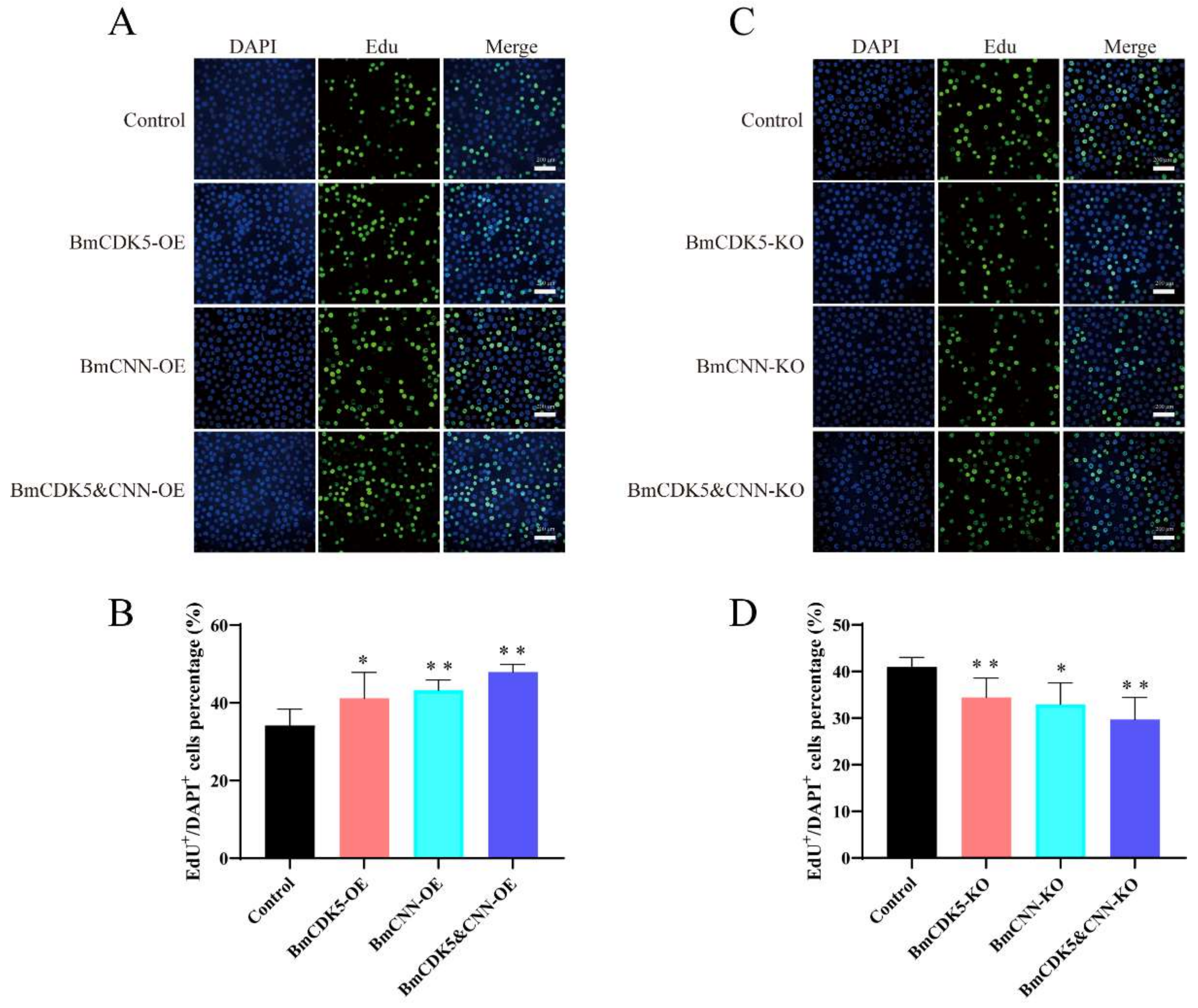 Insects 13 00609 g007