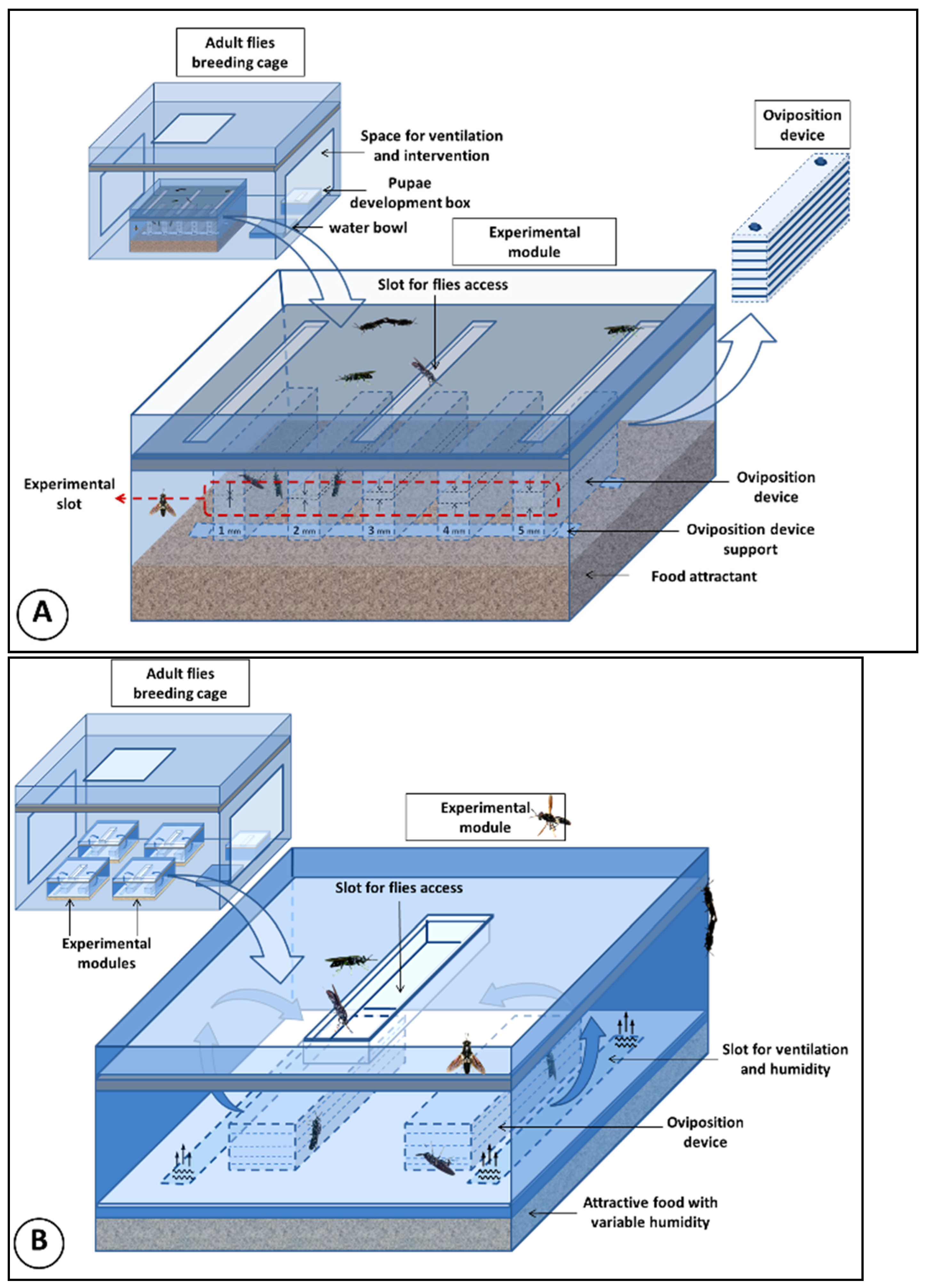 Insects 13 00611 g001