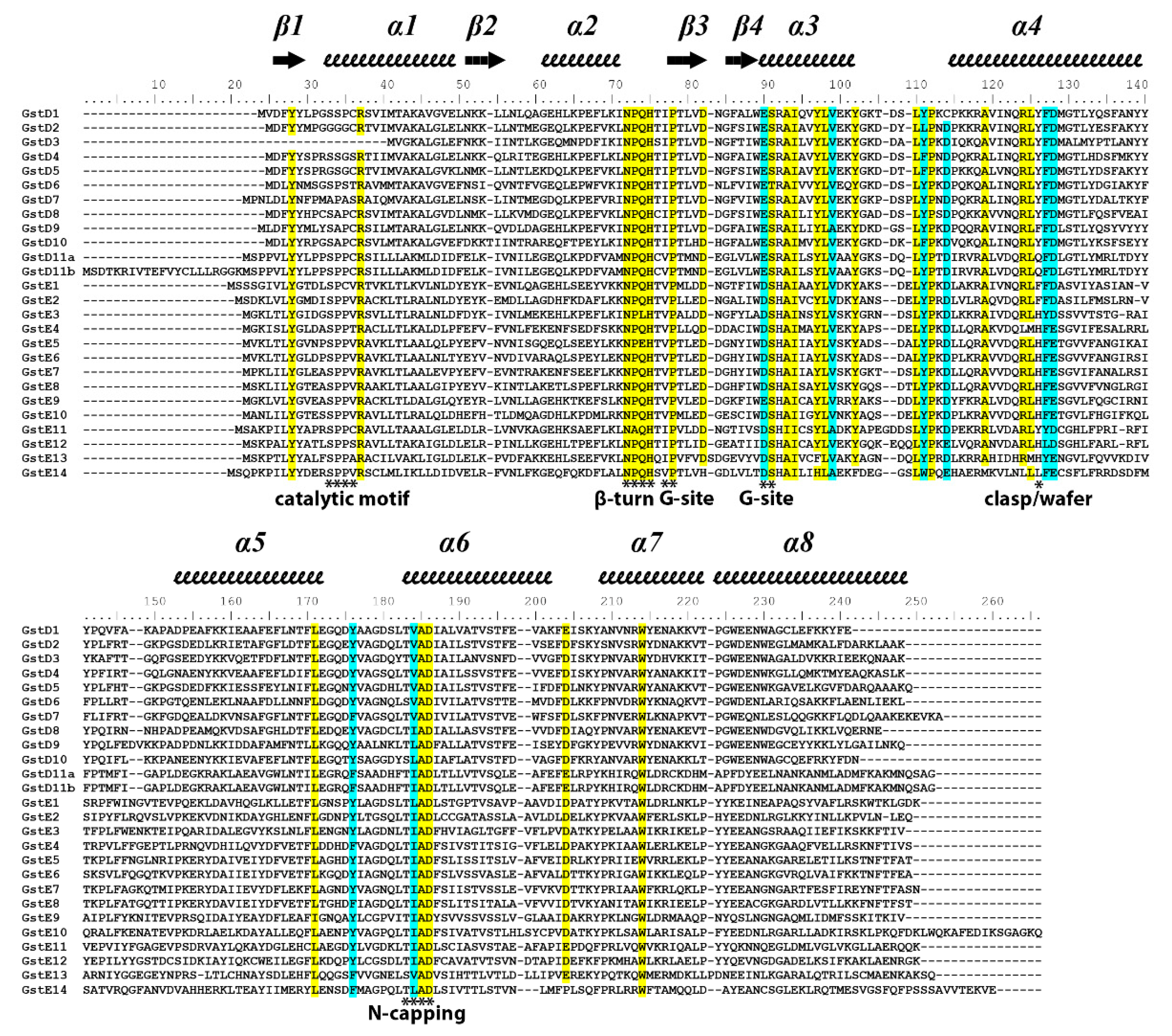 Insects 13 00612 g001