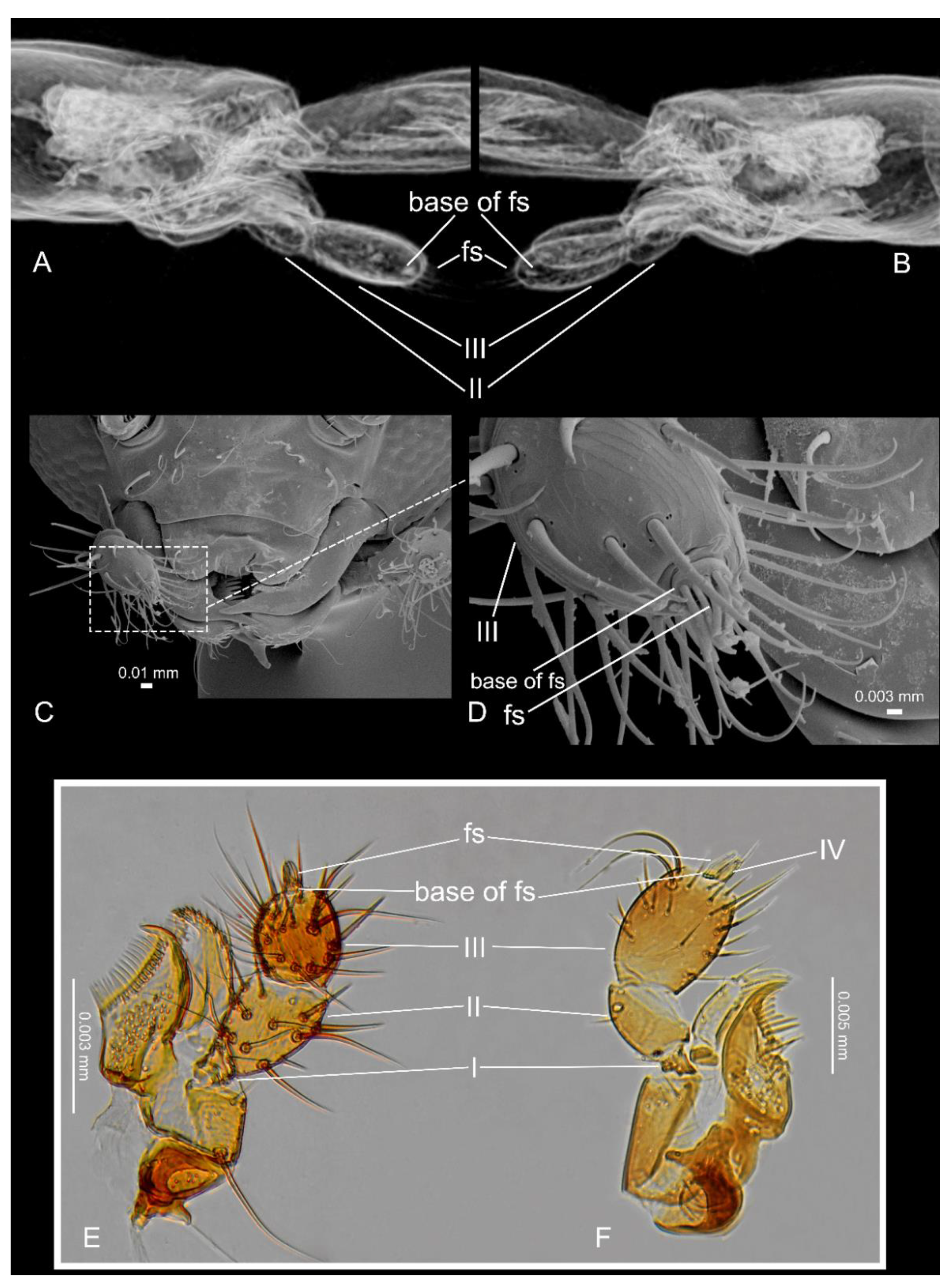 Insects 13 00614 g003