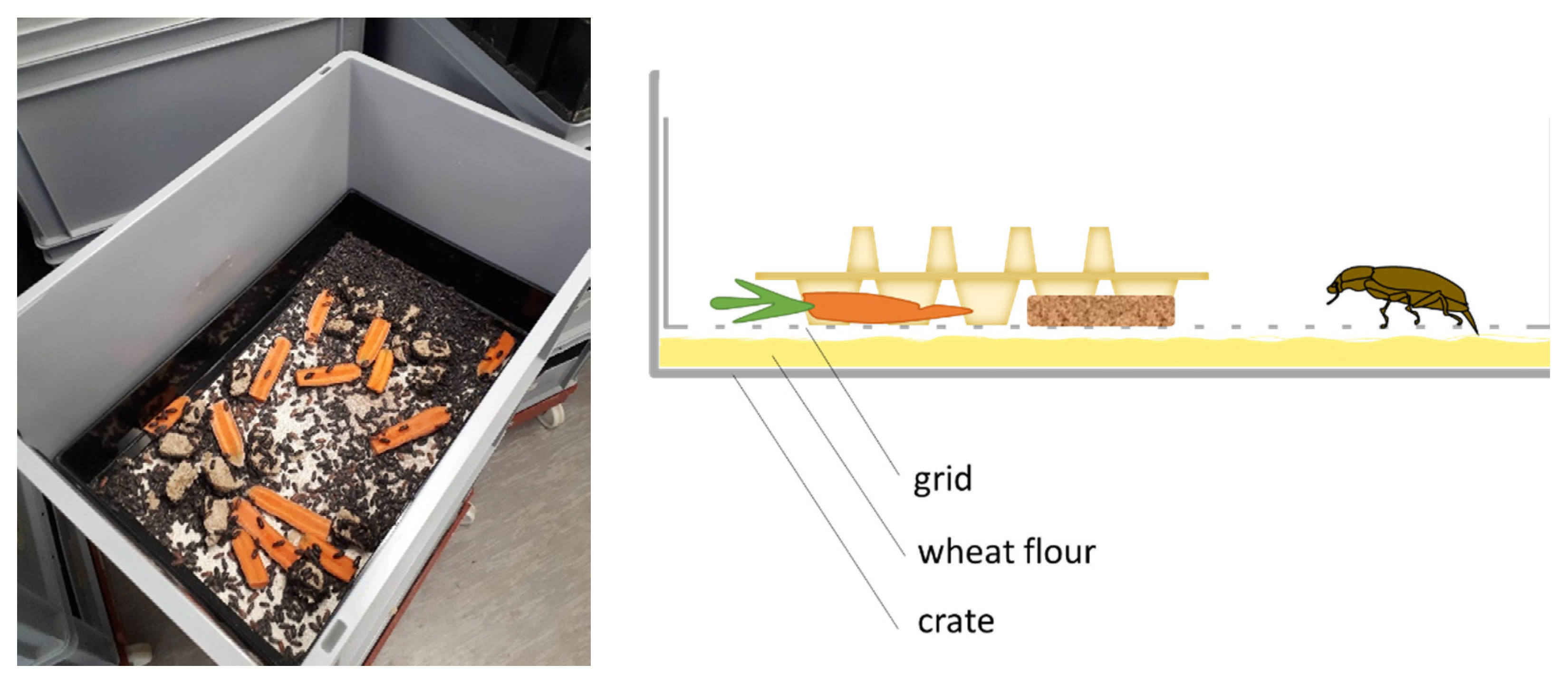 Insects 13 00615 g001