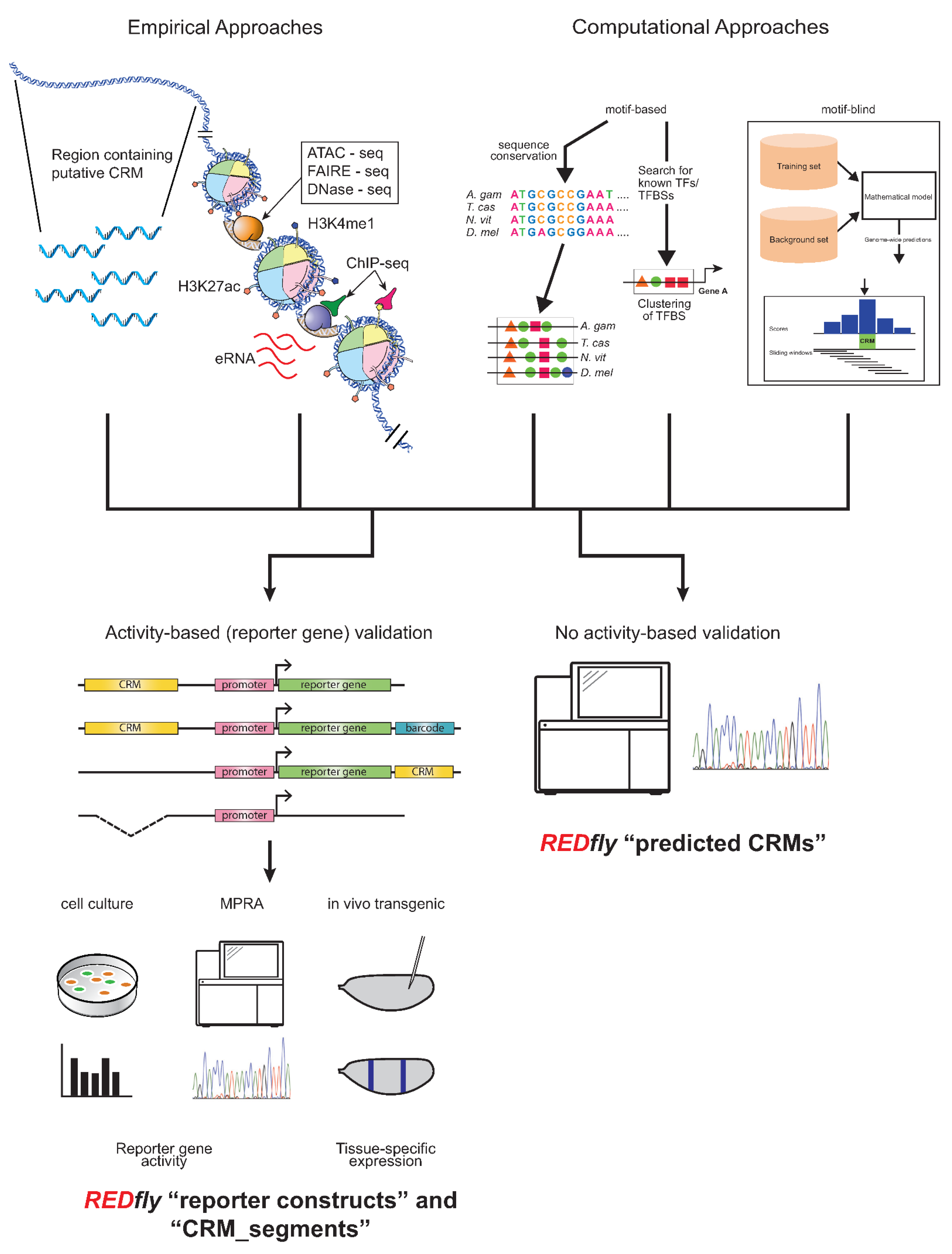 Insects 13 00618 g001