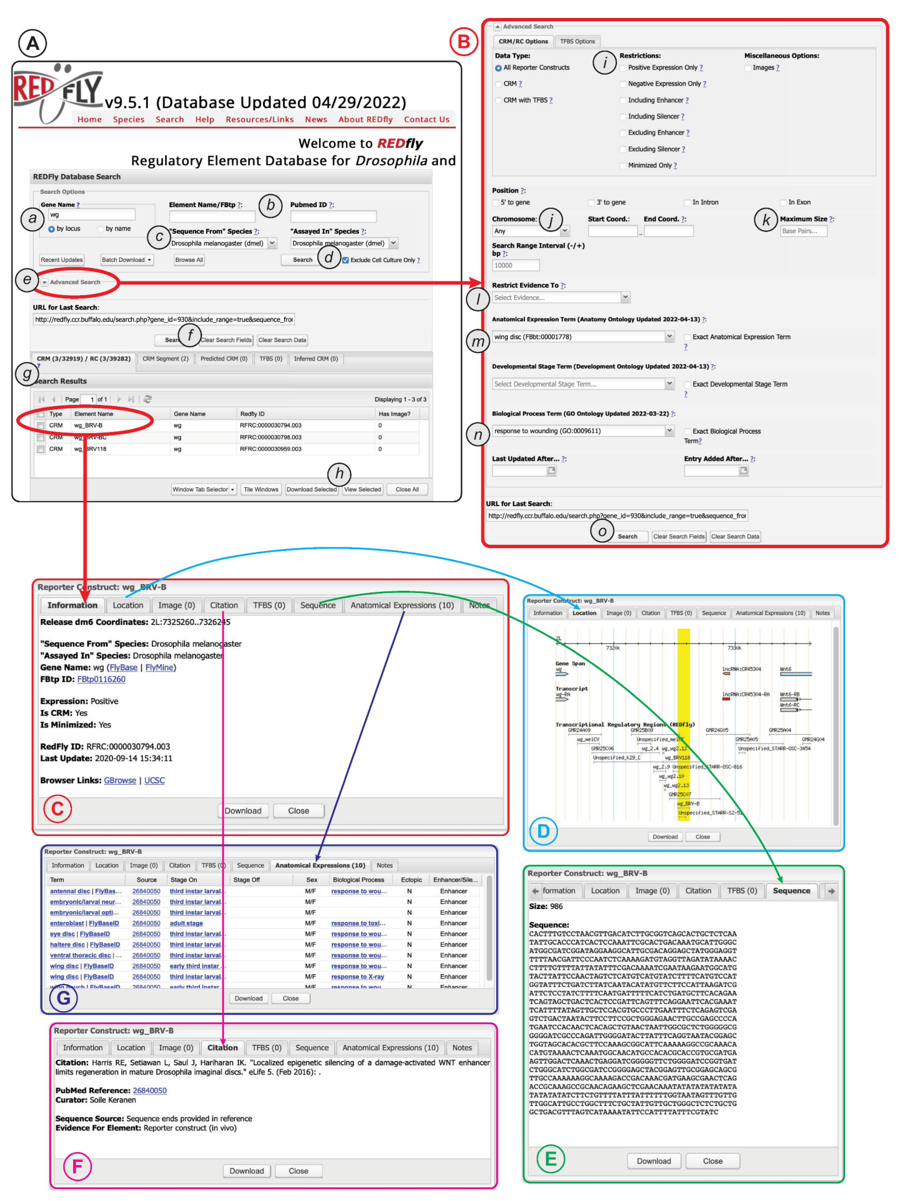 Insects 13 00618 g004