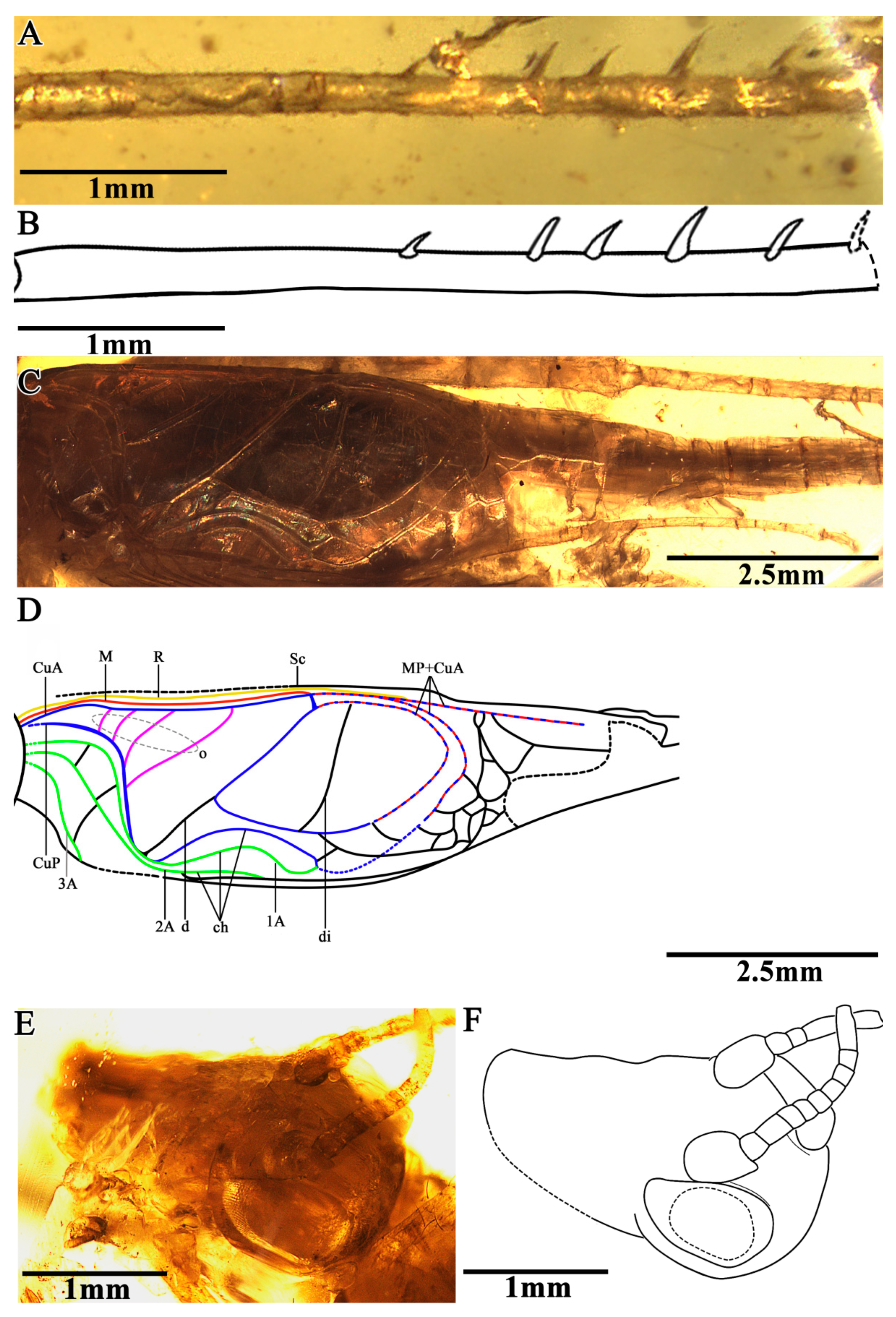 Insects 13 00619 g002