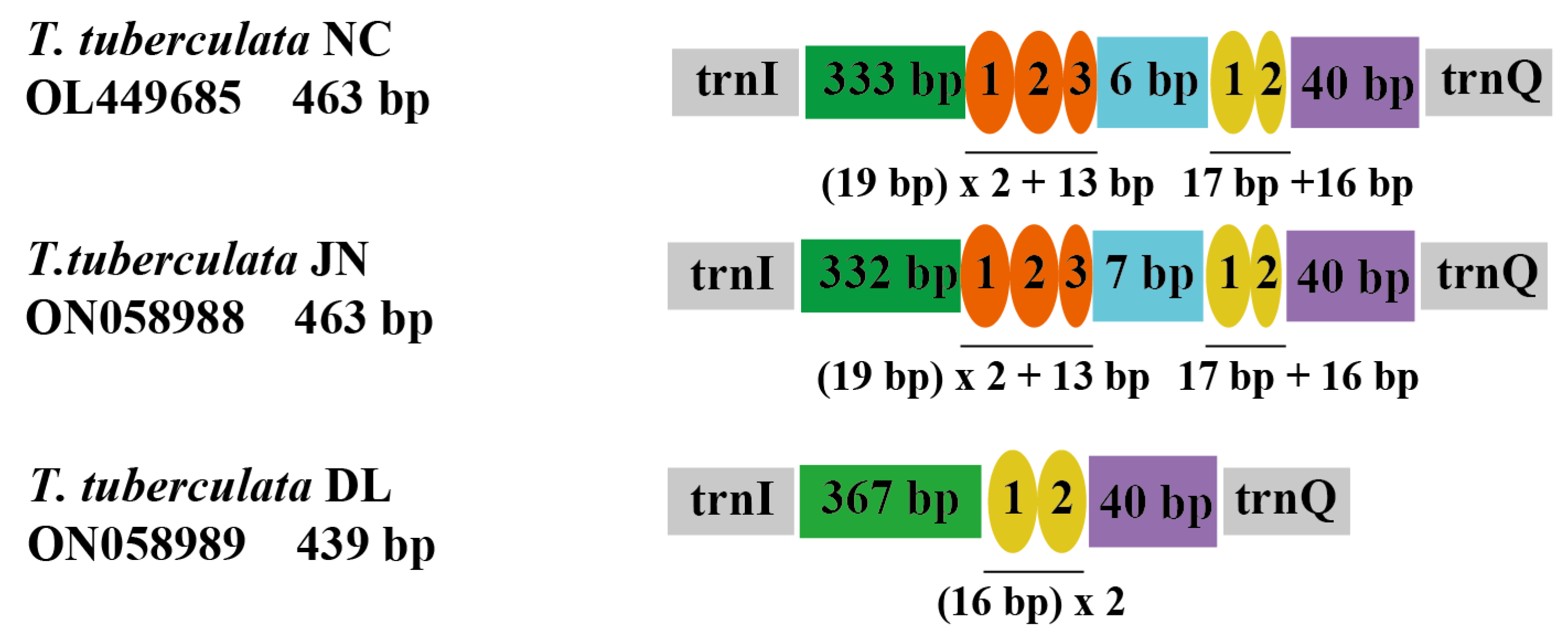 Insects 13 00620 g003