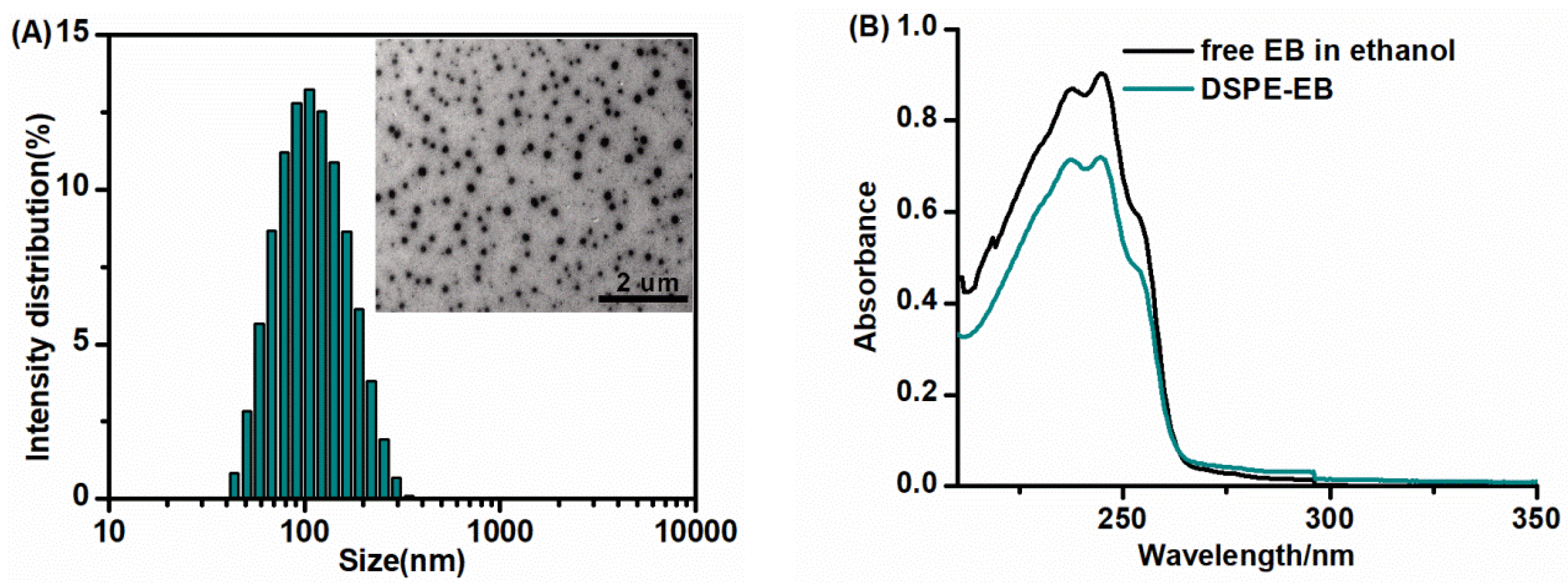 Insects 13 00625 g001