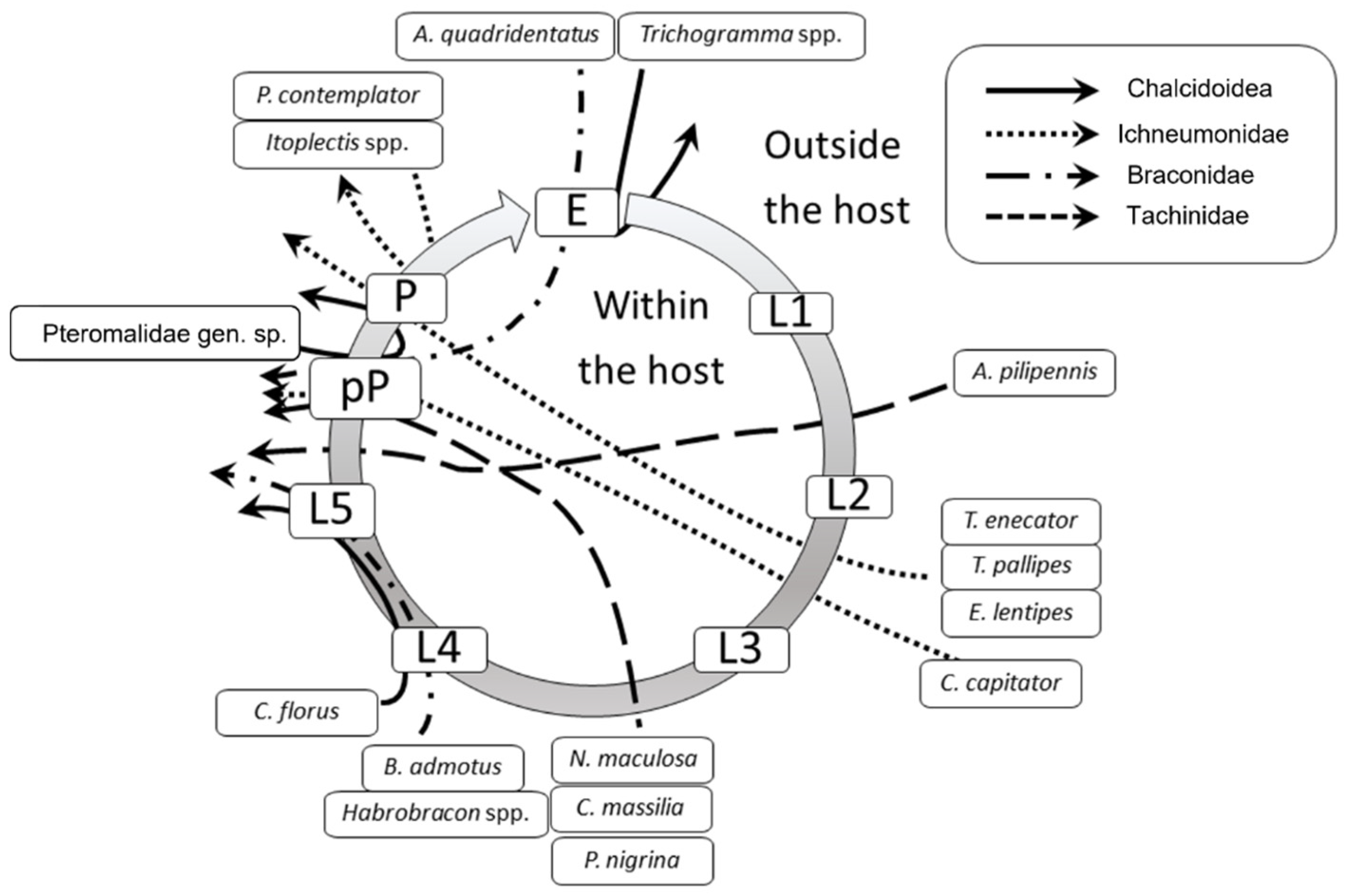 Insects 13 00627 g005