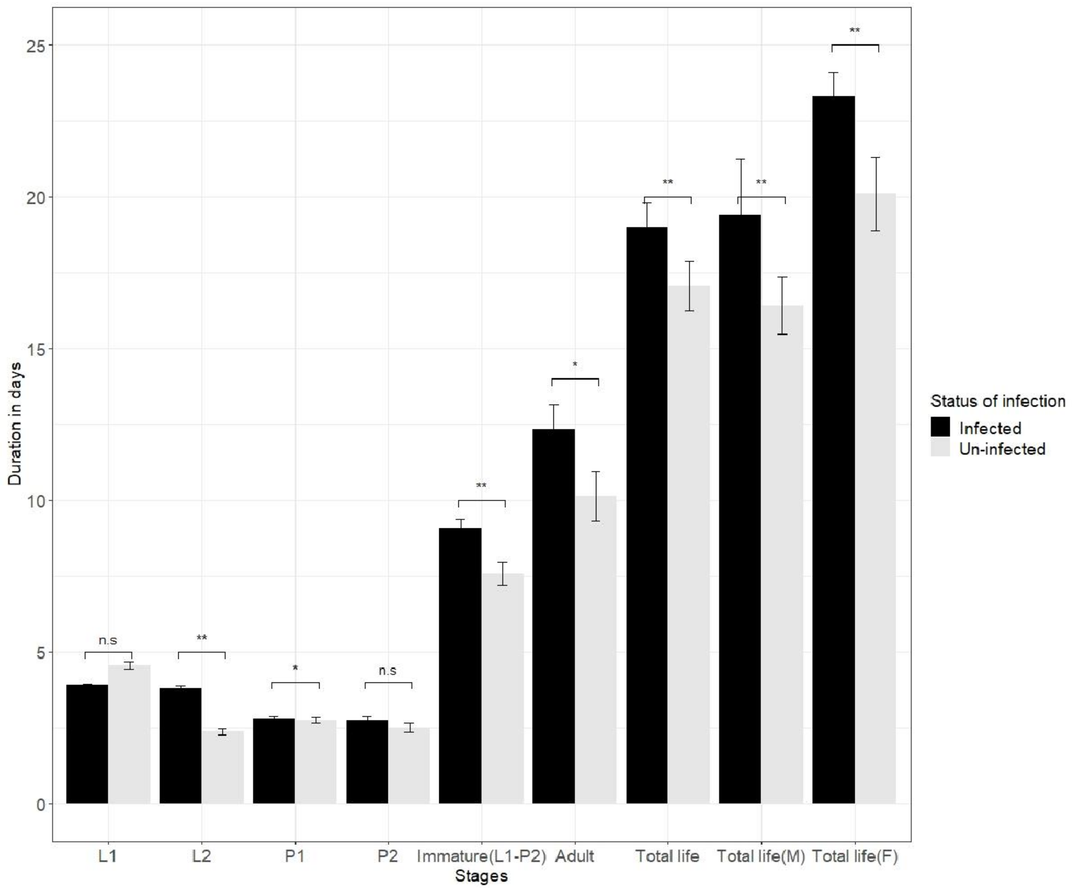 Insects 13 00632 g001