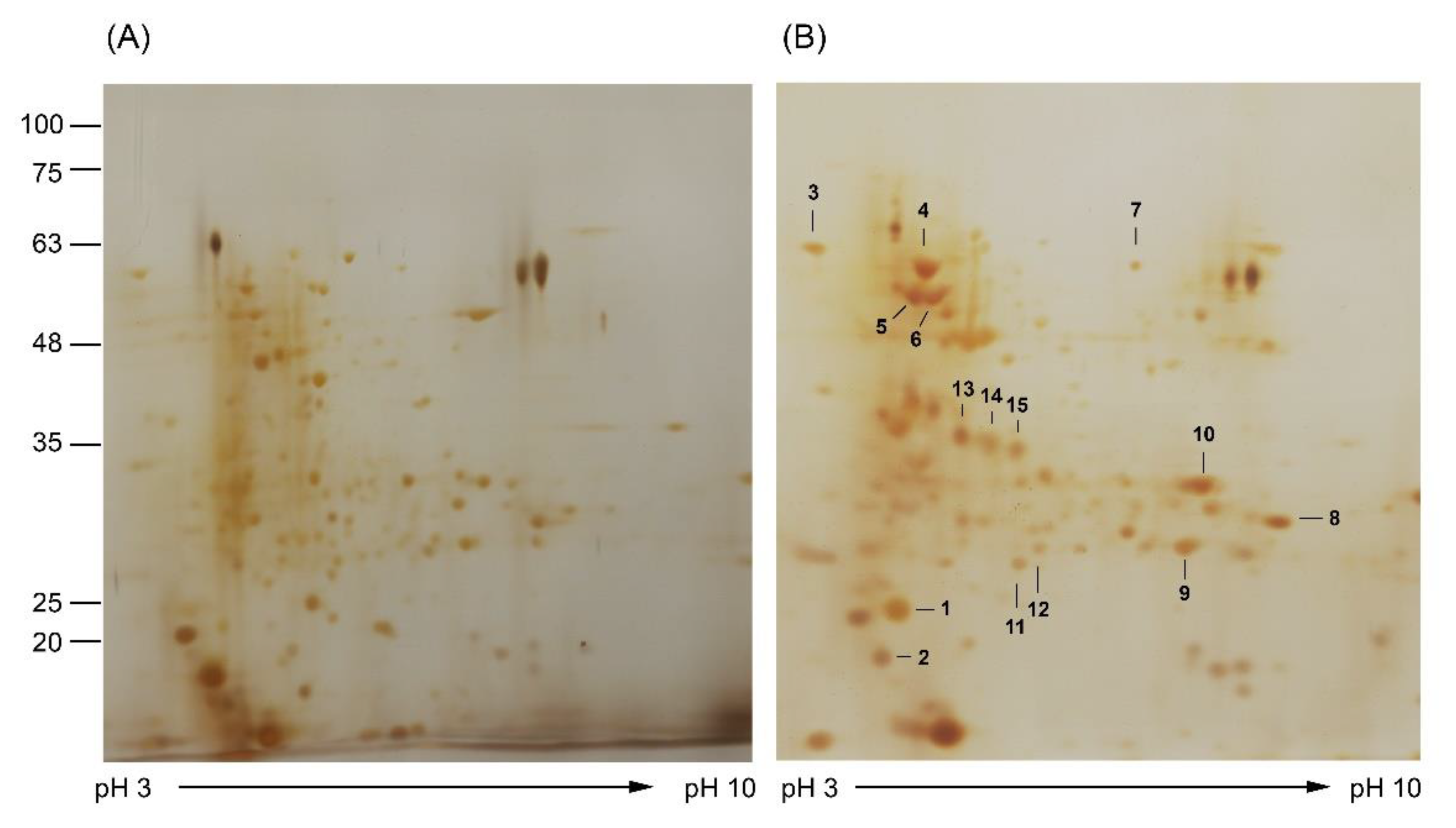 Insects 13 00641 g004