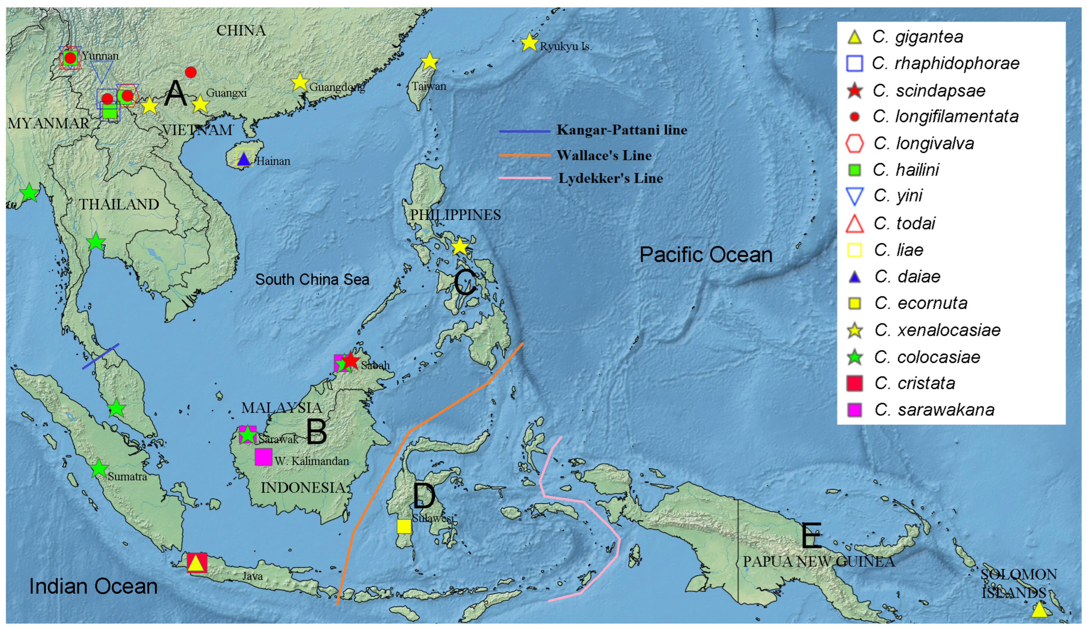 Insects 13 00647 g001