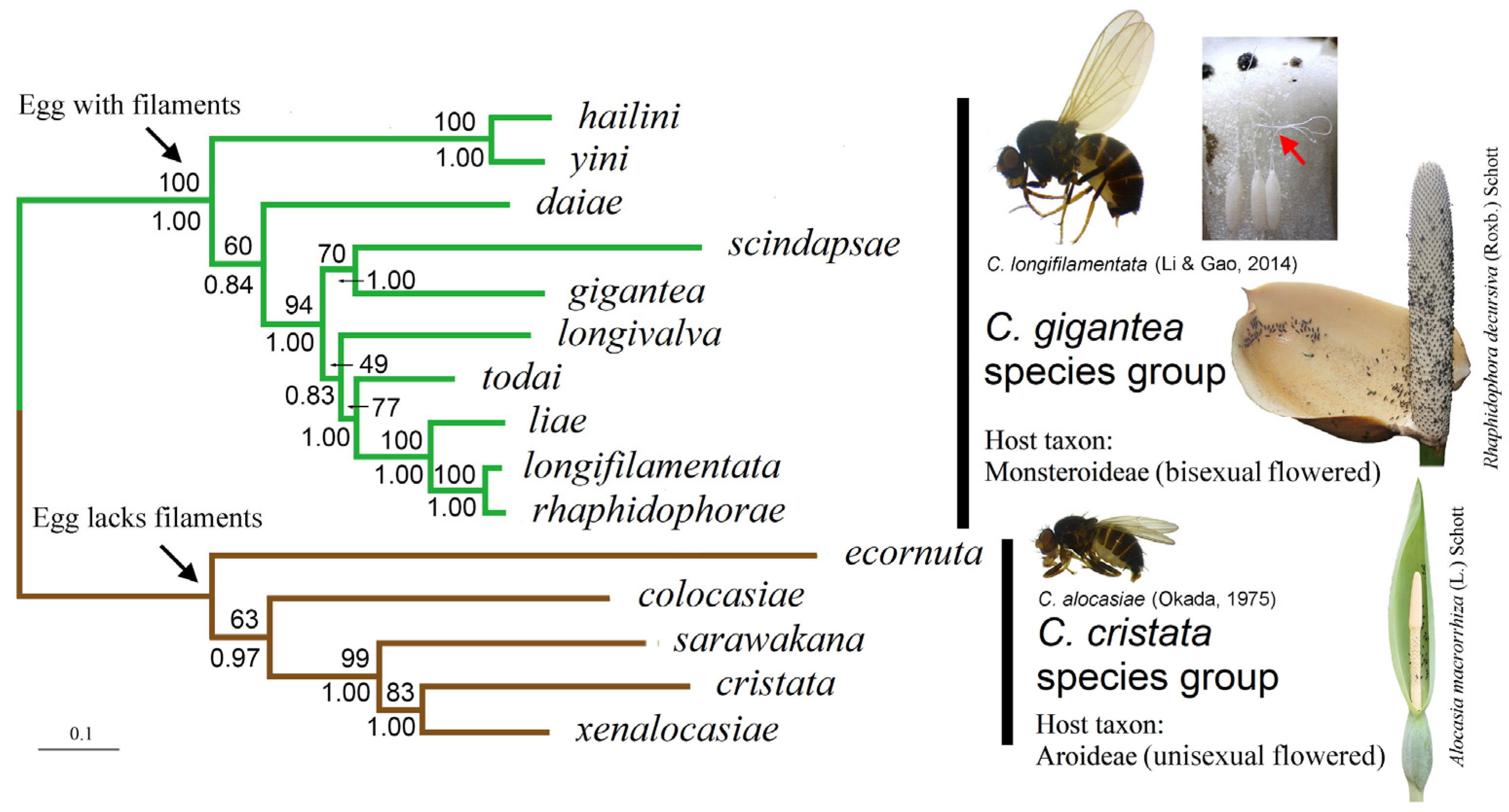 Insects 13 00647 g002
