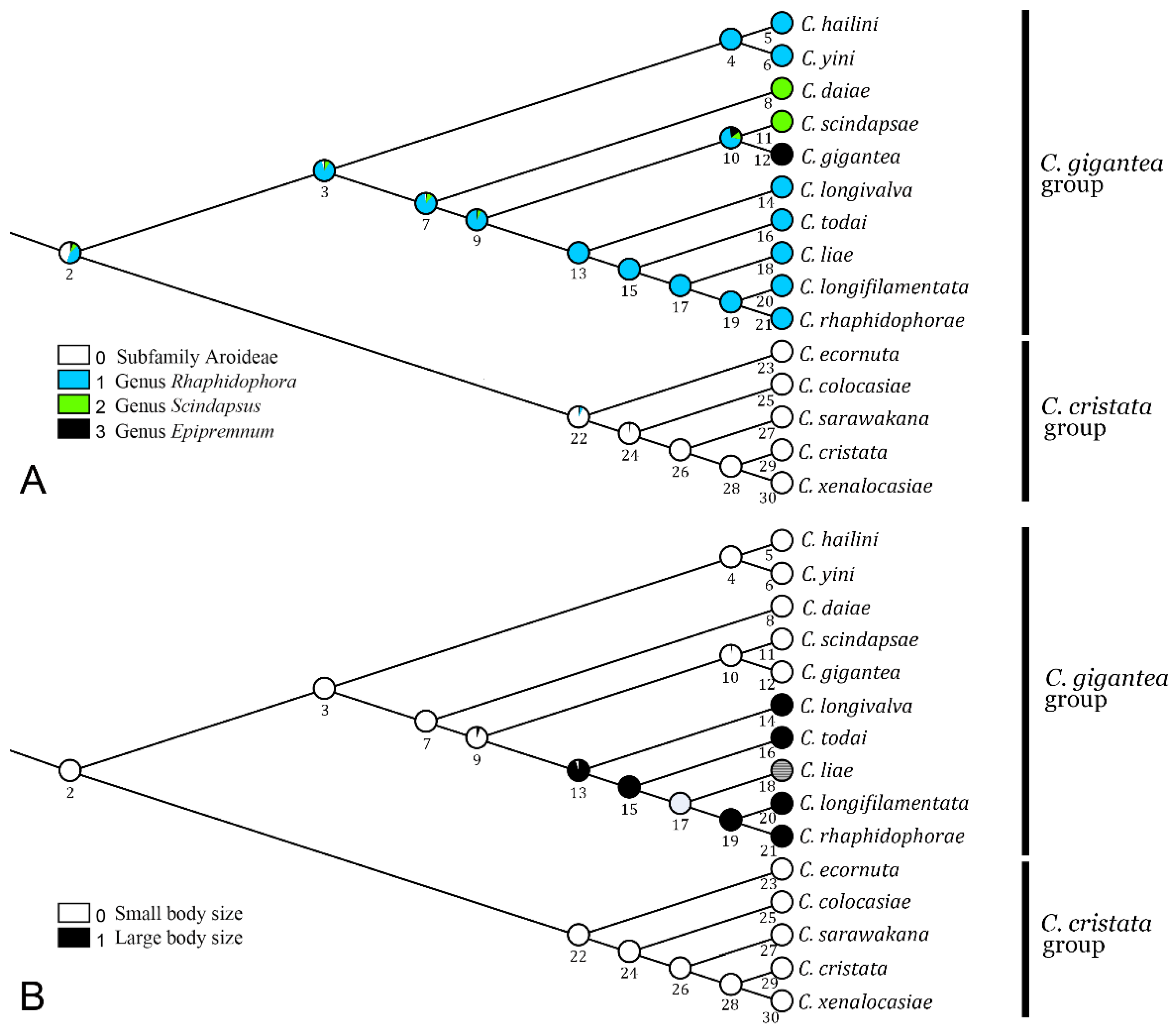 Insects 13 00647 g004