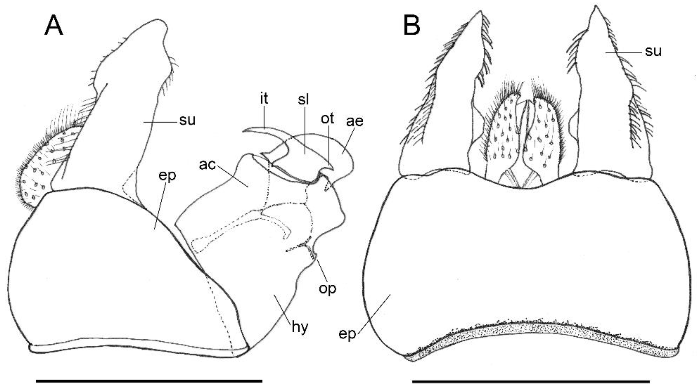 Insects 13 00648 g003