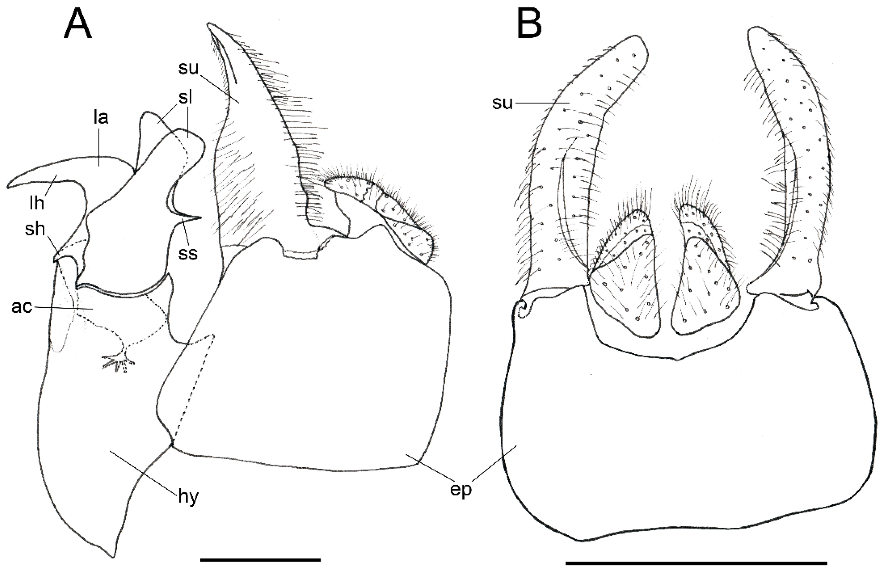 Insects 13 00648 g007