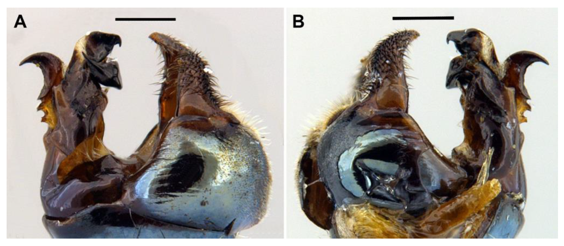 Insects 13 00648 g014