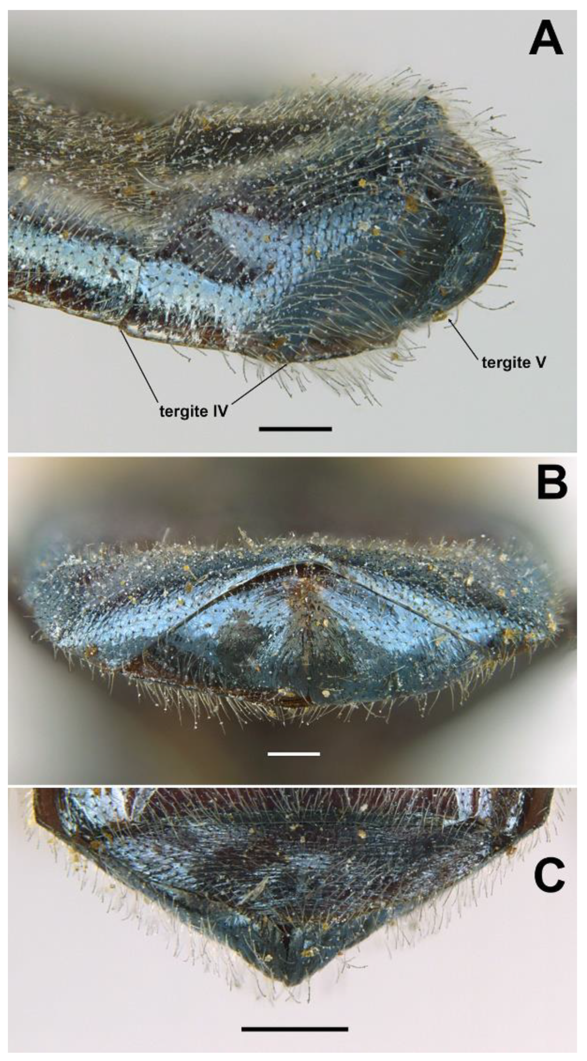 Insects 13 00648 g017
