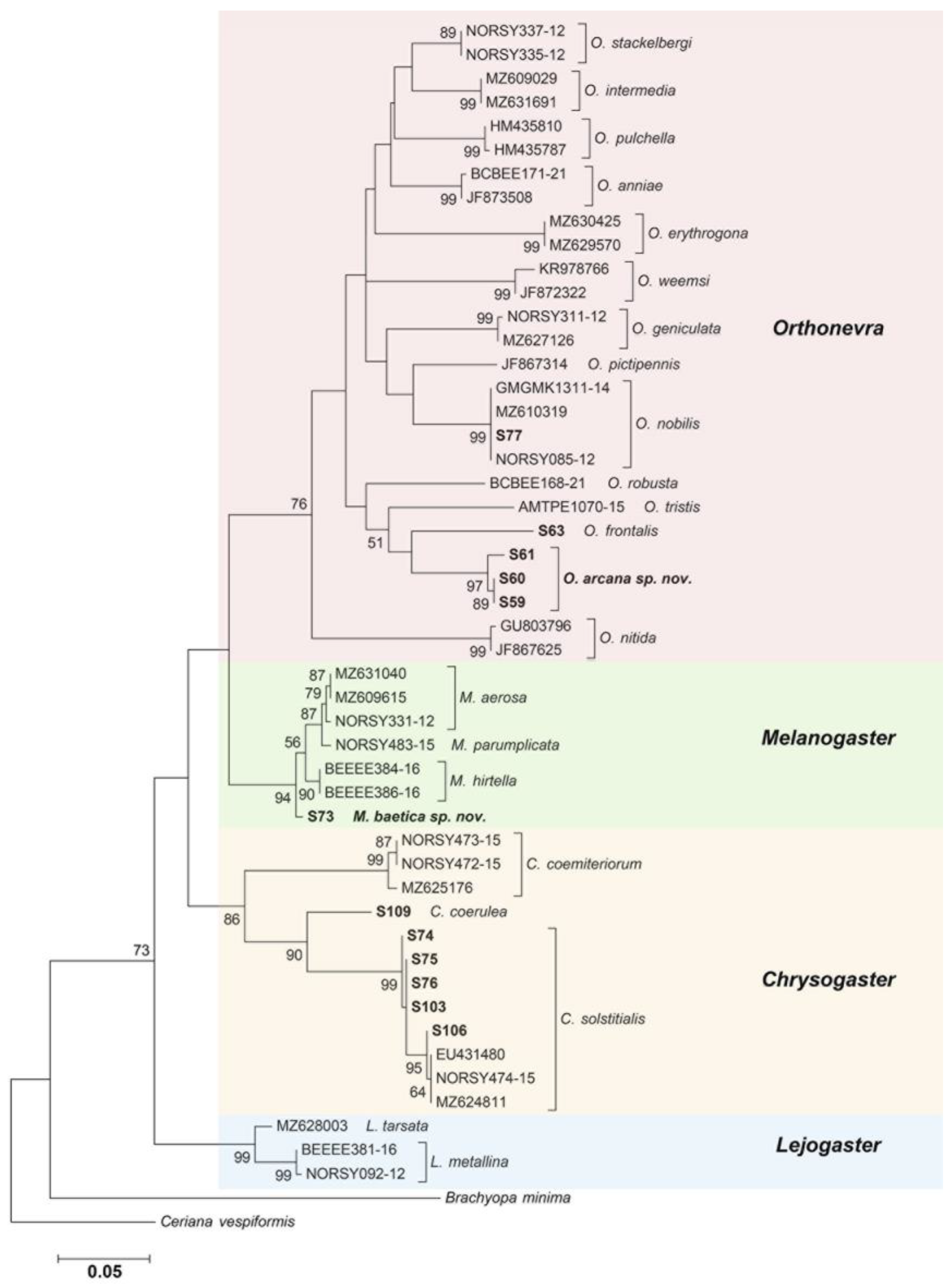 Insects 13 00648 g018