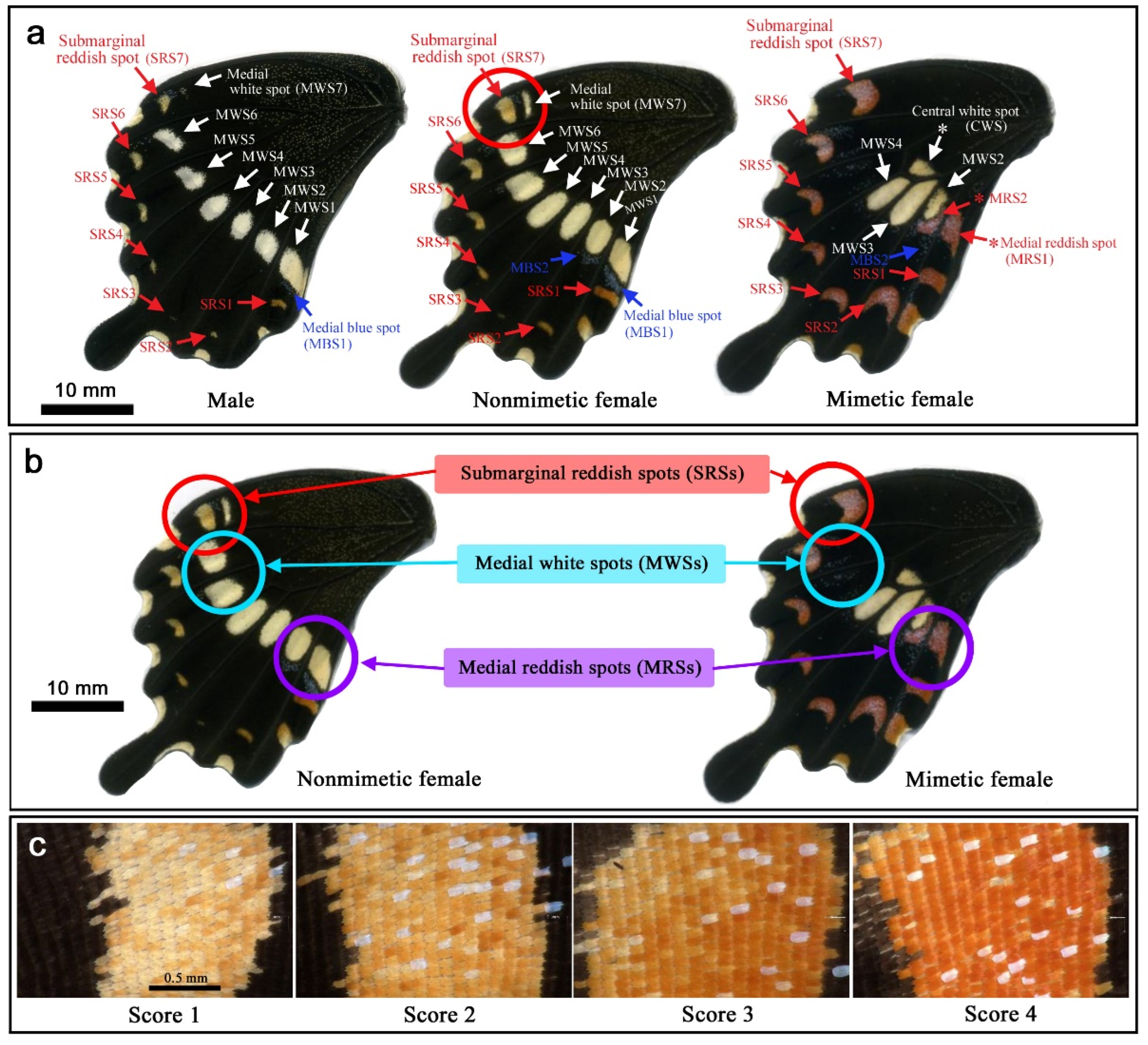 Insects 13 00649 g002