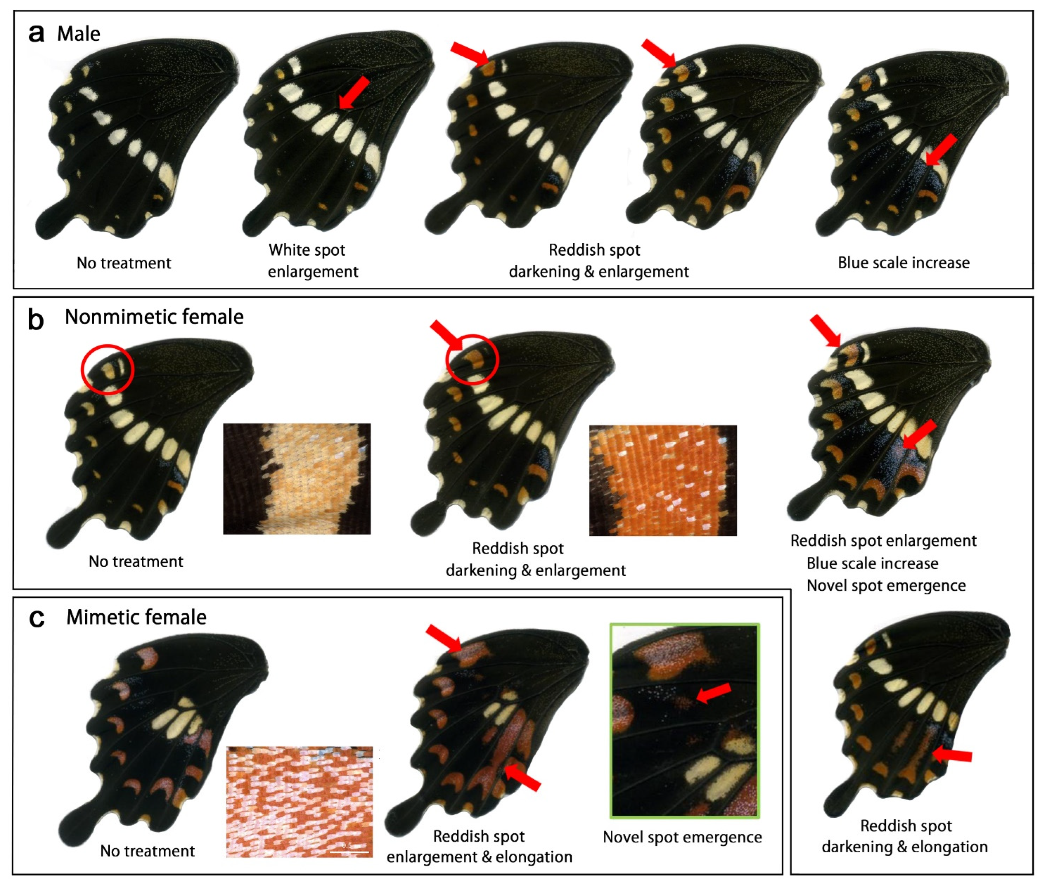 Insects 13 00649 g004