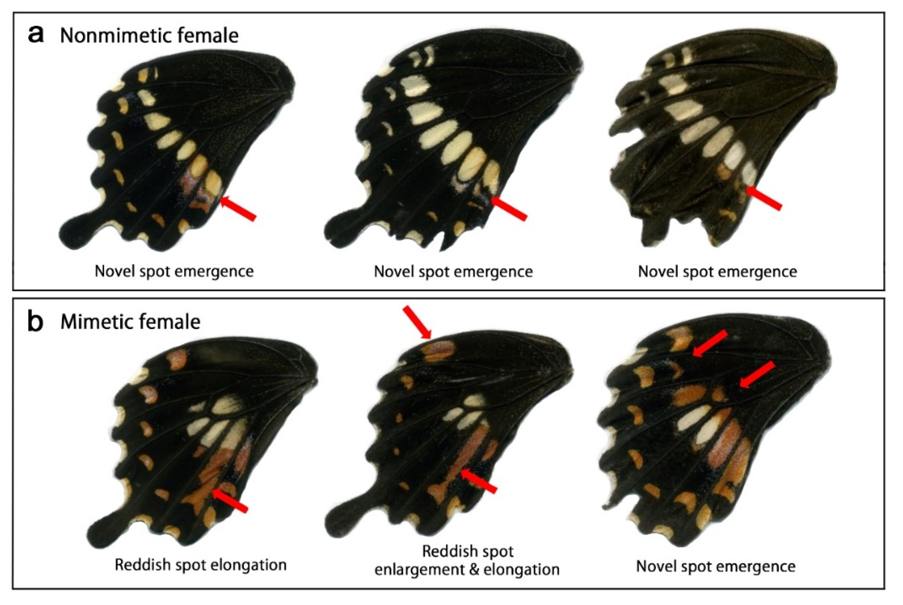 Insects 13 00649 g010