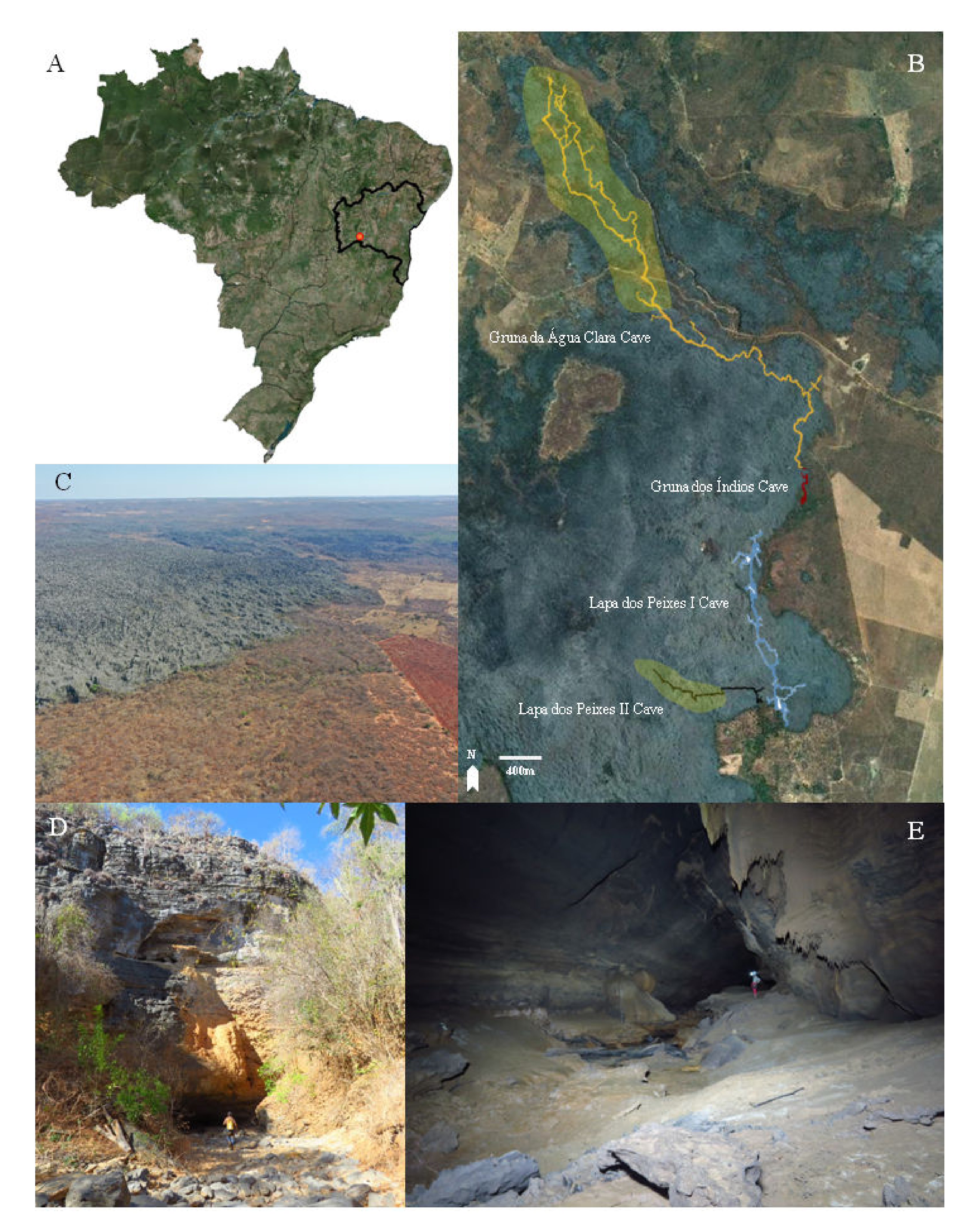 Insects 13 00650 g001