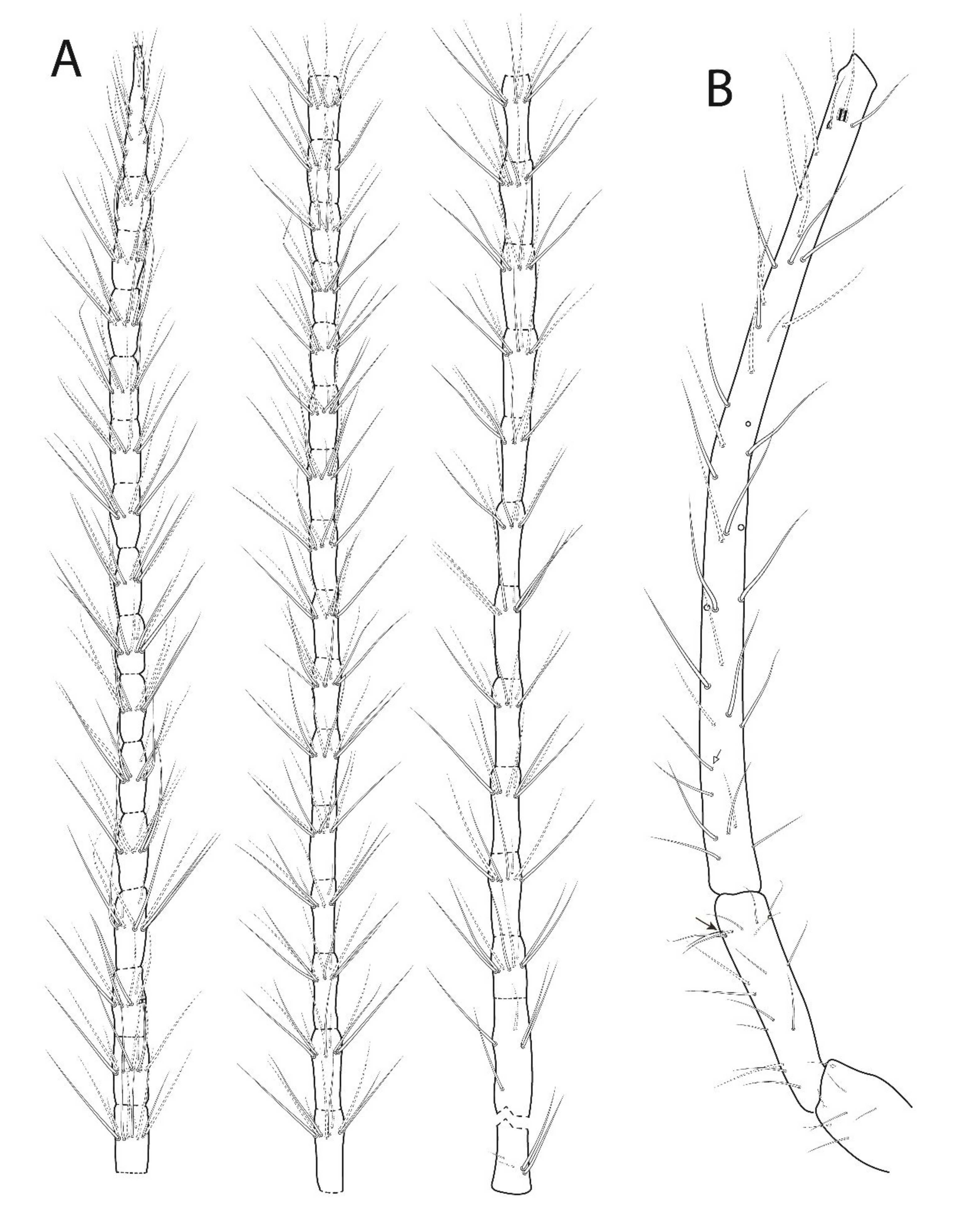 Insects 13 00650 g004