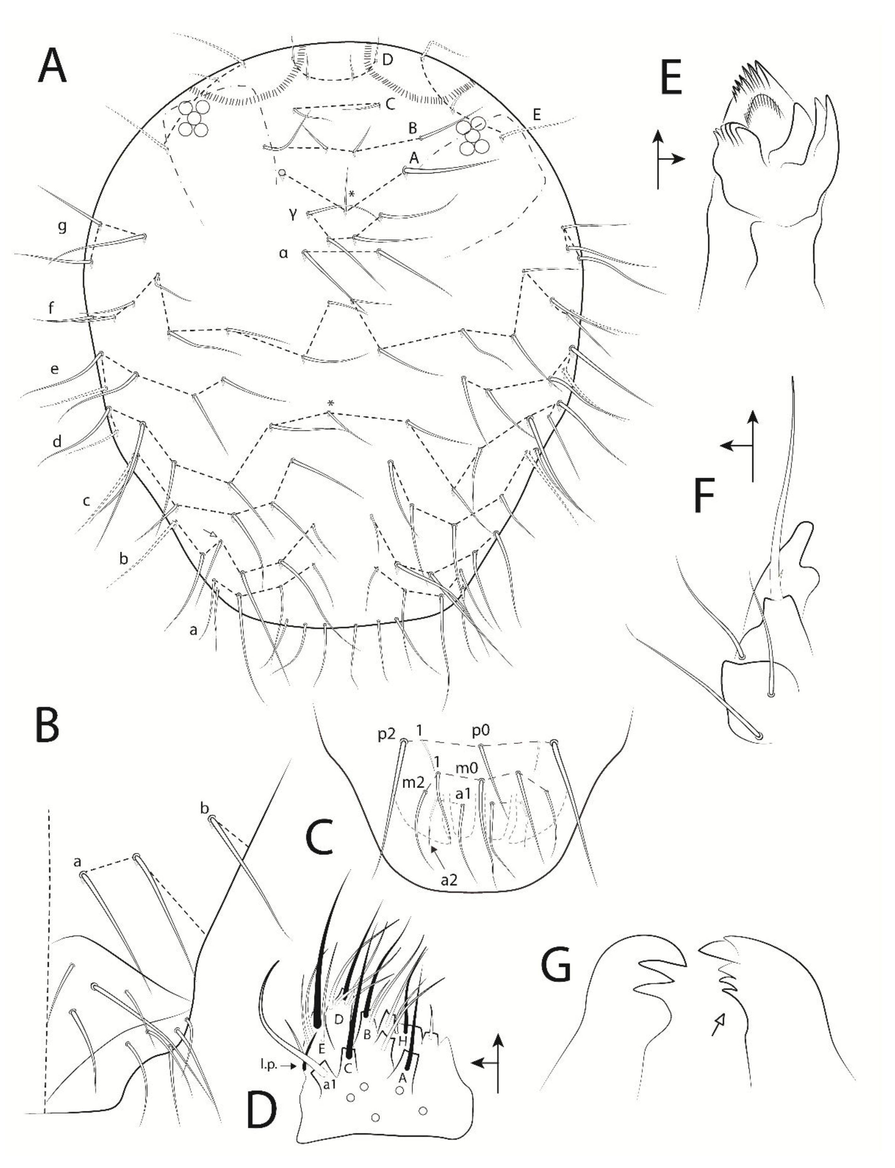 Insects 13 00650 g005