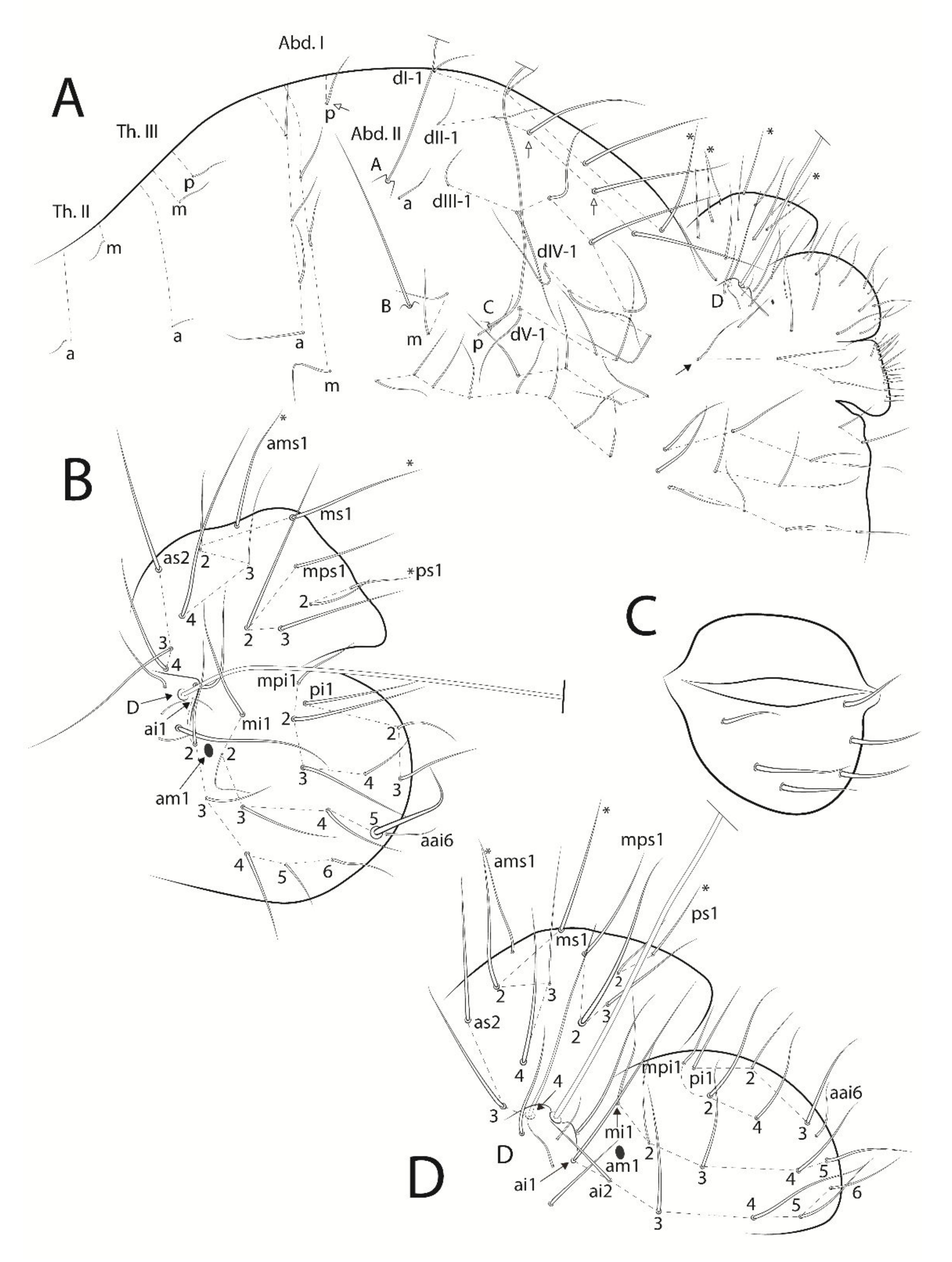 Insects 13 00650 g006