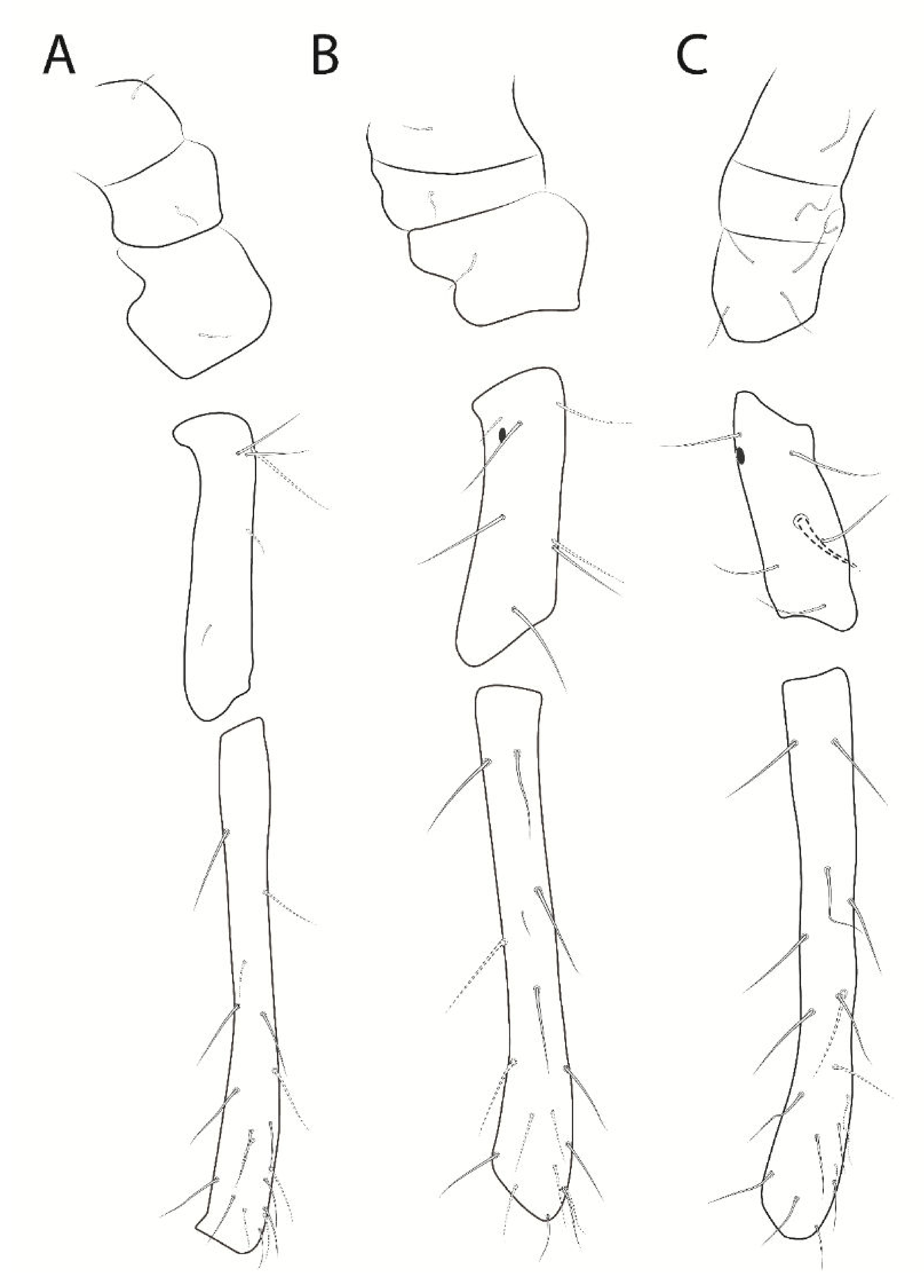 Insects 13 00650 g007