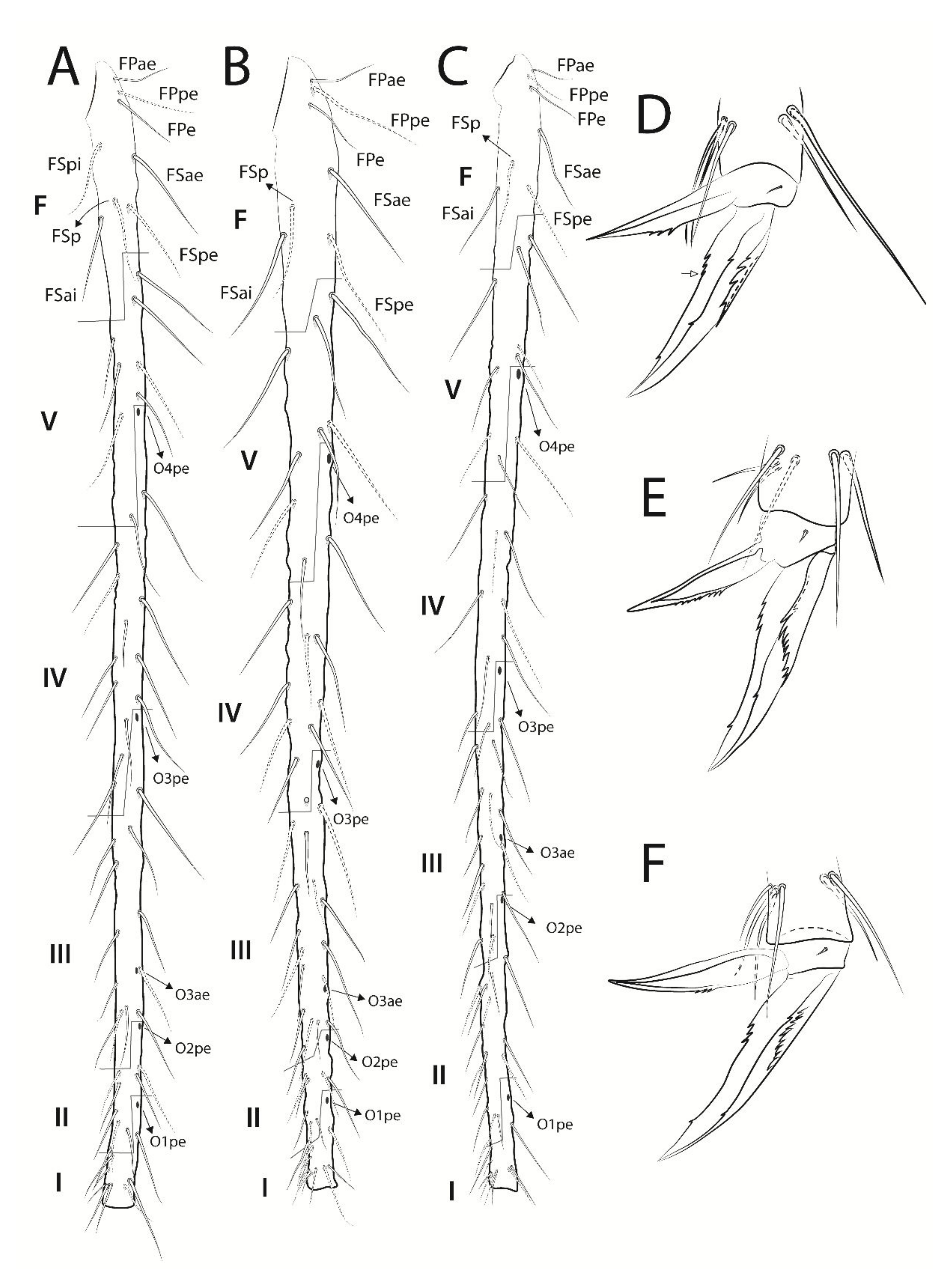 Insects 13 00650 g008