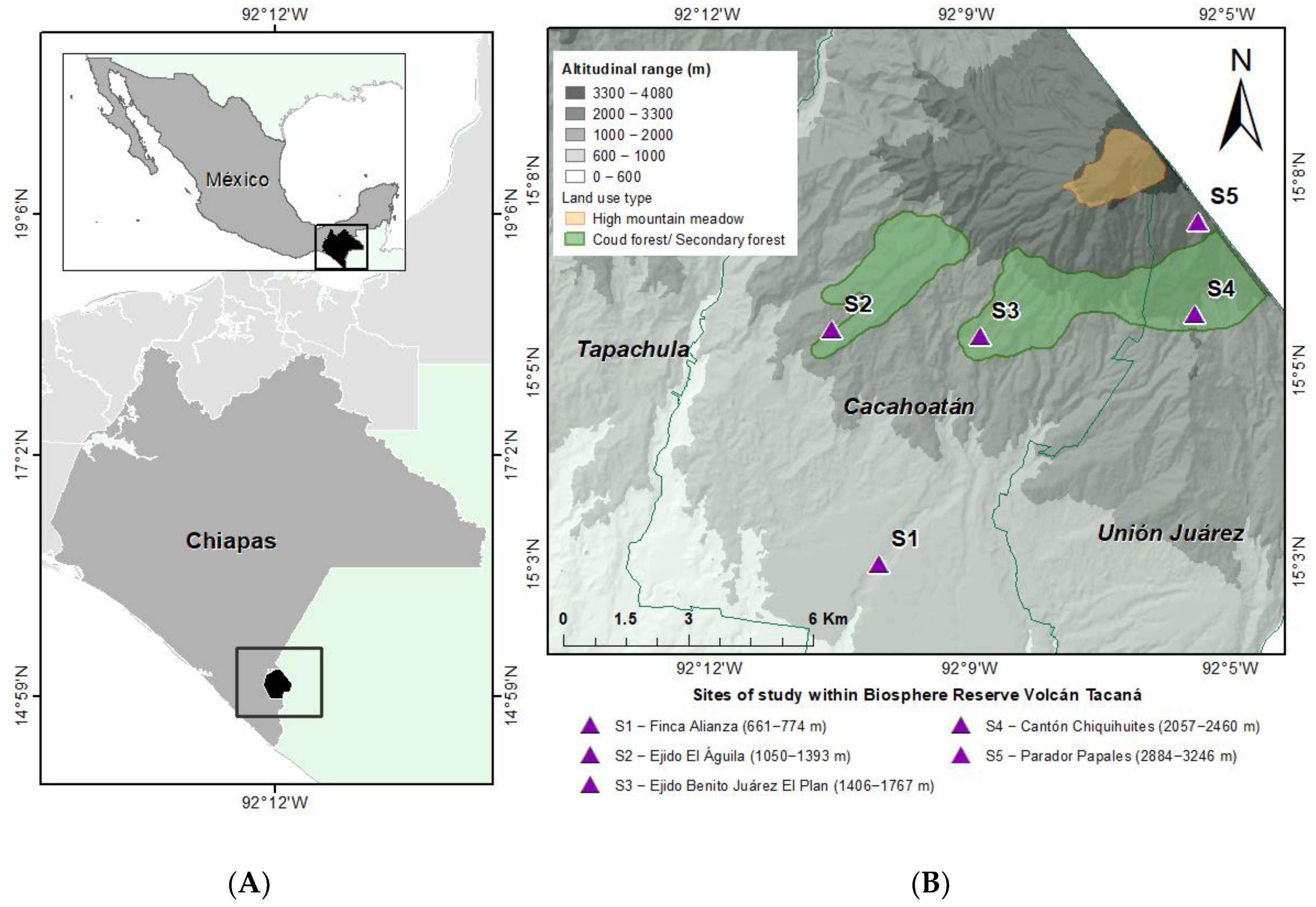 Insects 13 00652 g001