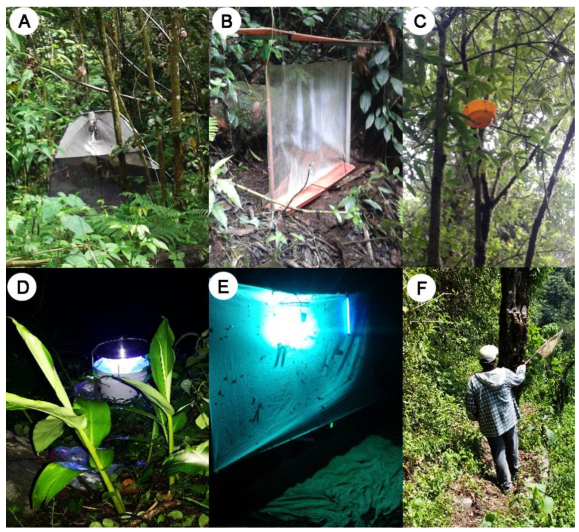 Insects 13 00652 g002