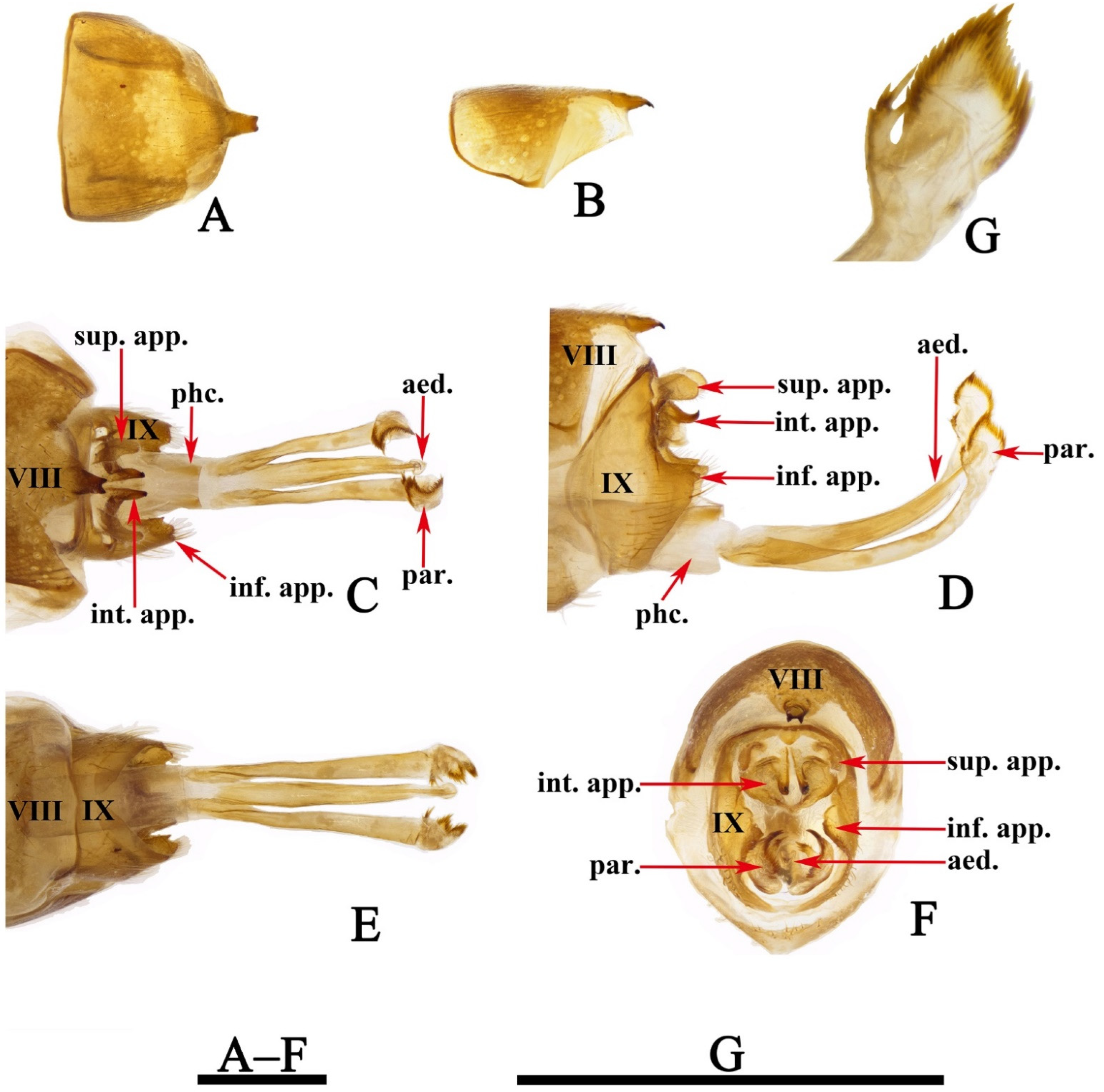 Insects 13 00653 g003