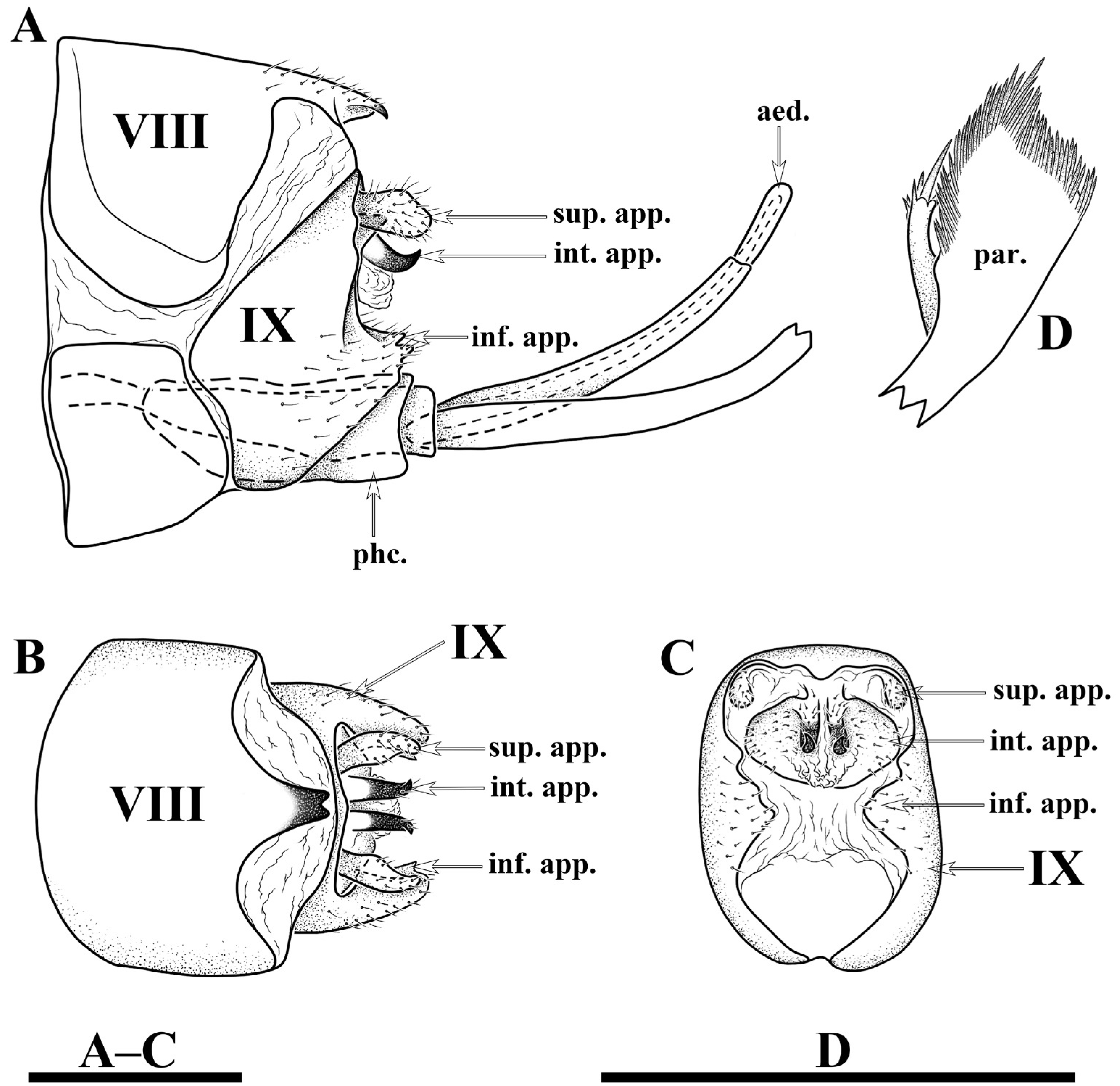 Insects 13 00653 g004