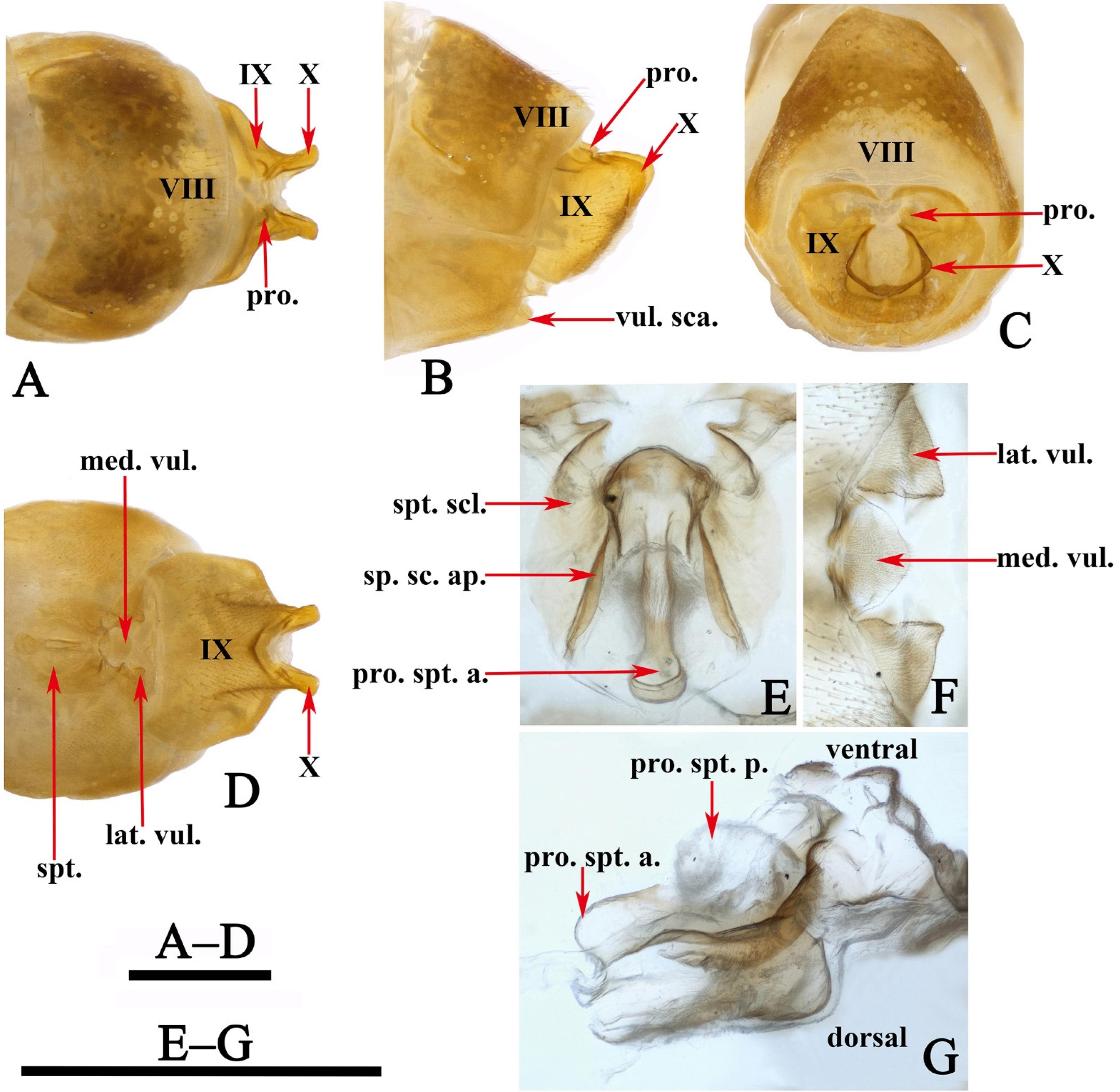 Insects 13 00653 g005