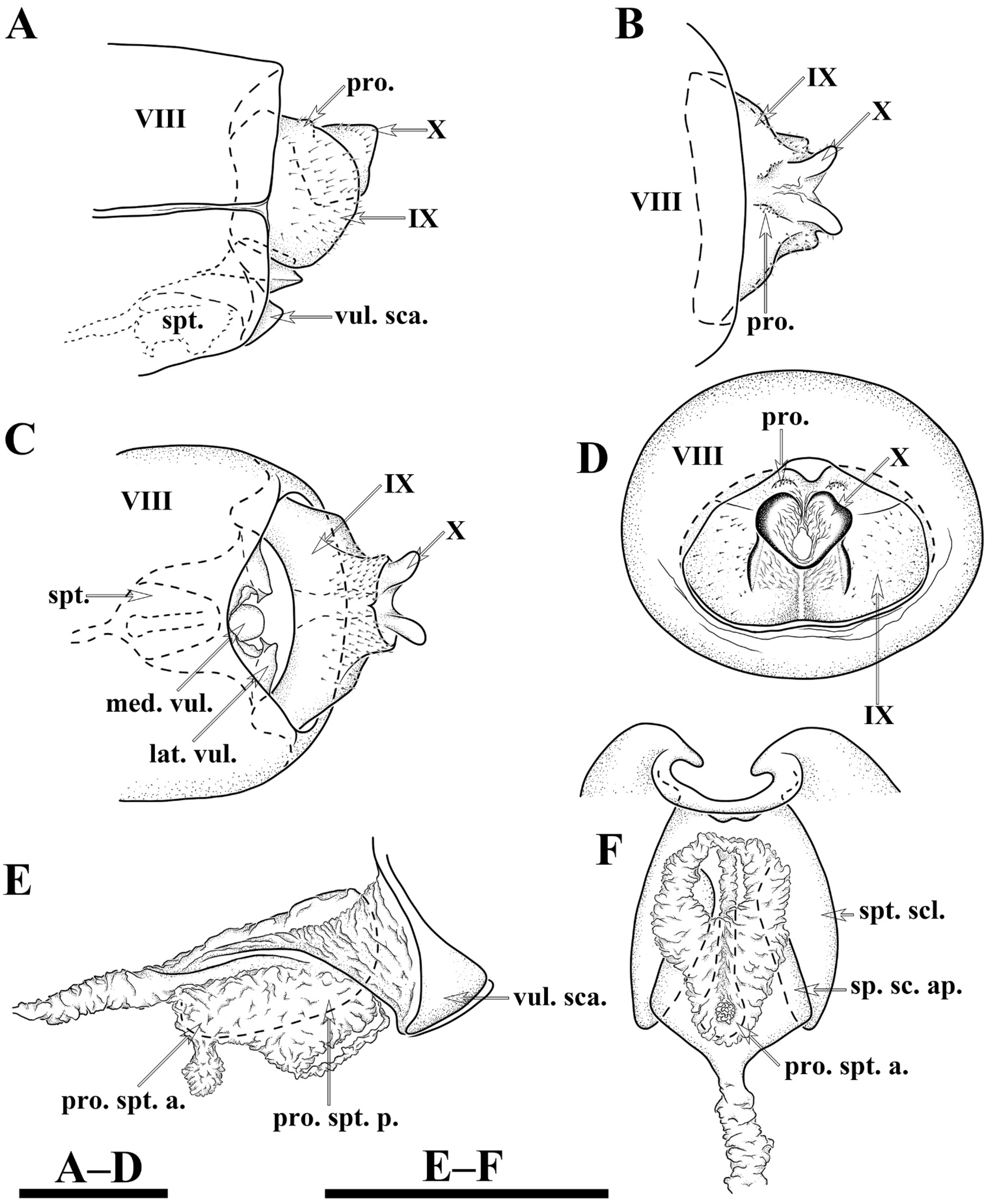 Insects 13 00653 g006