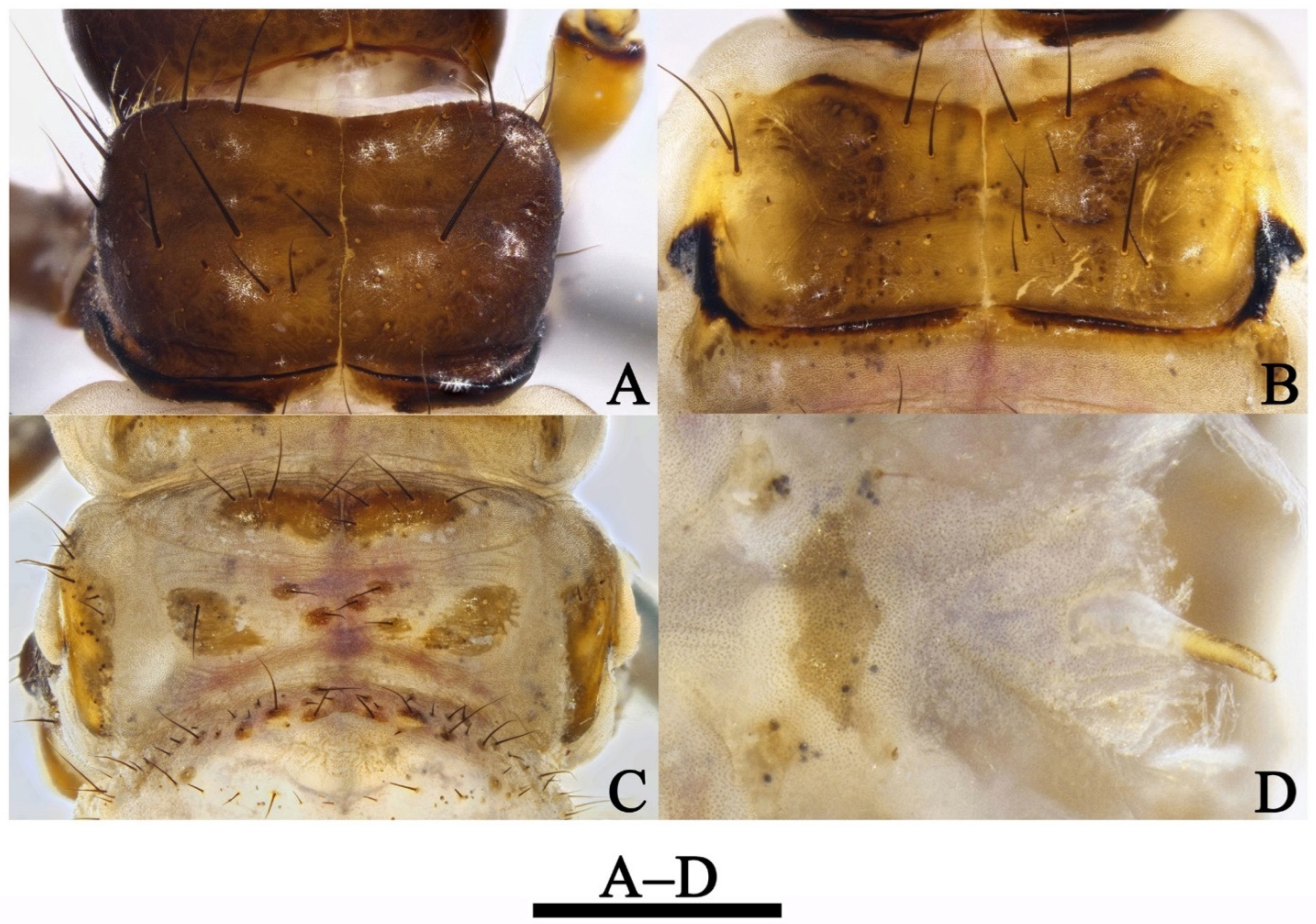 Insects 13 00653 g009