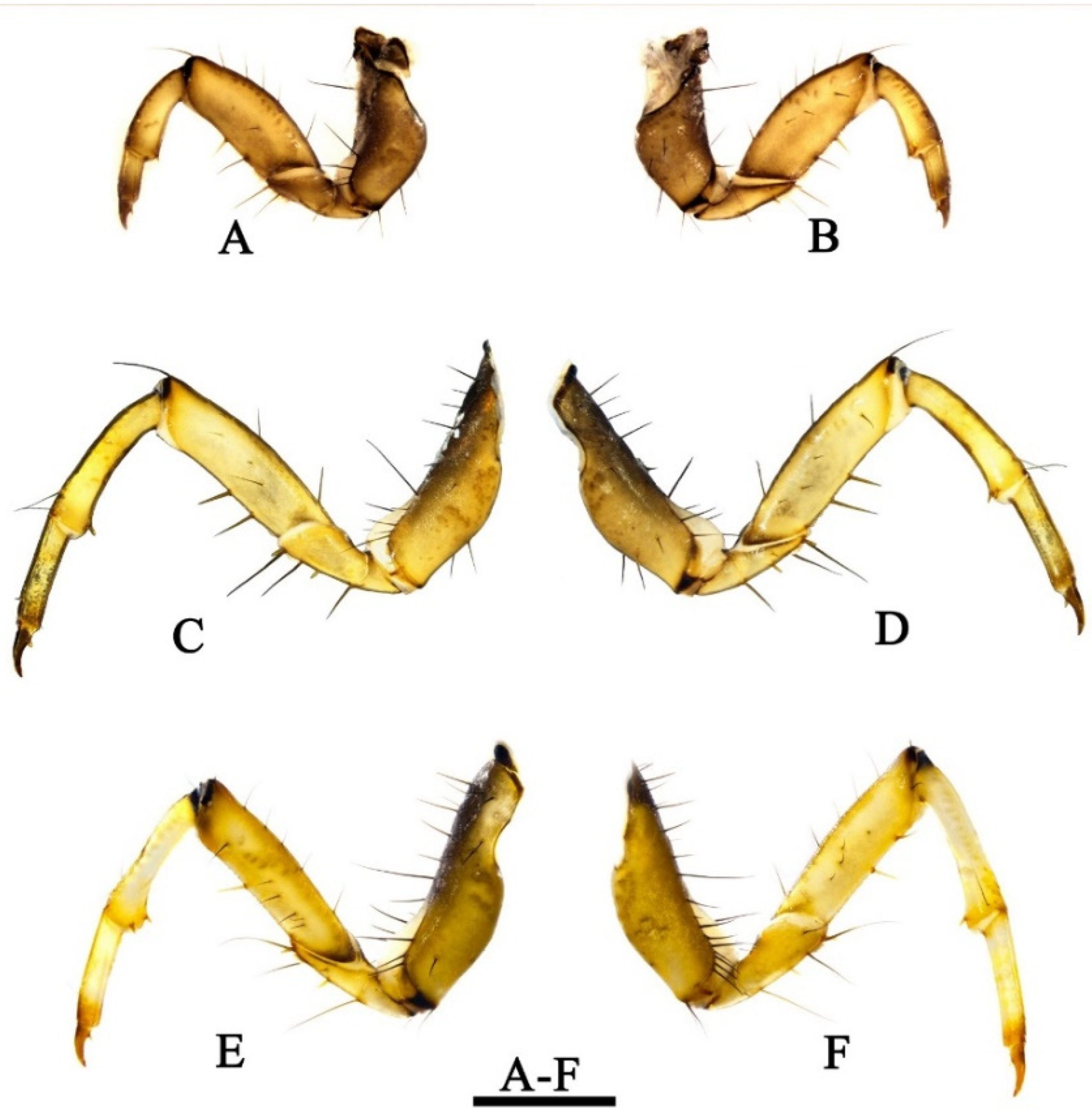 Insects 13 00653 g010