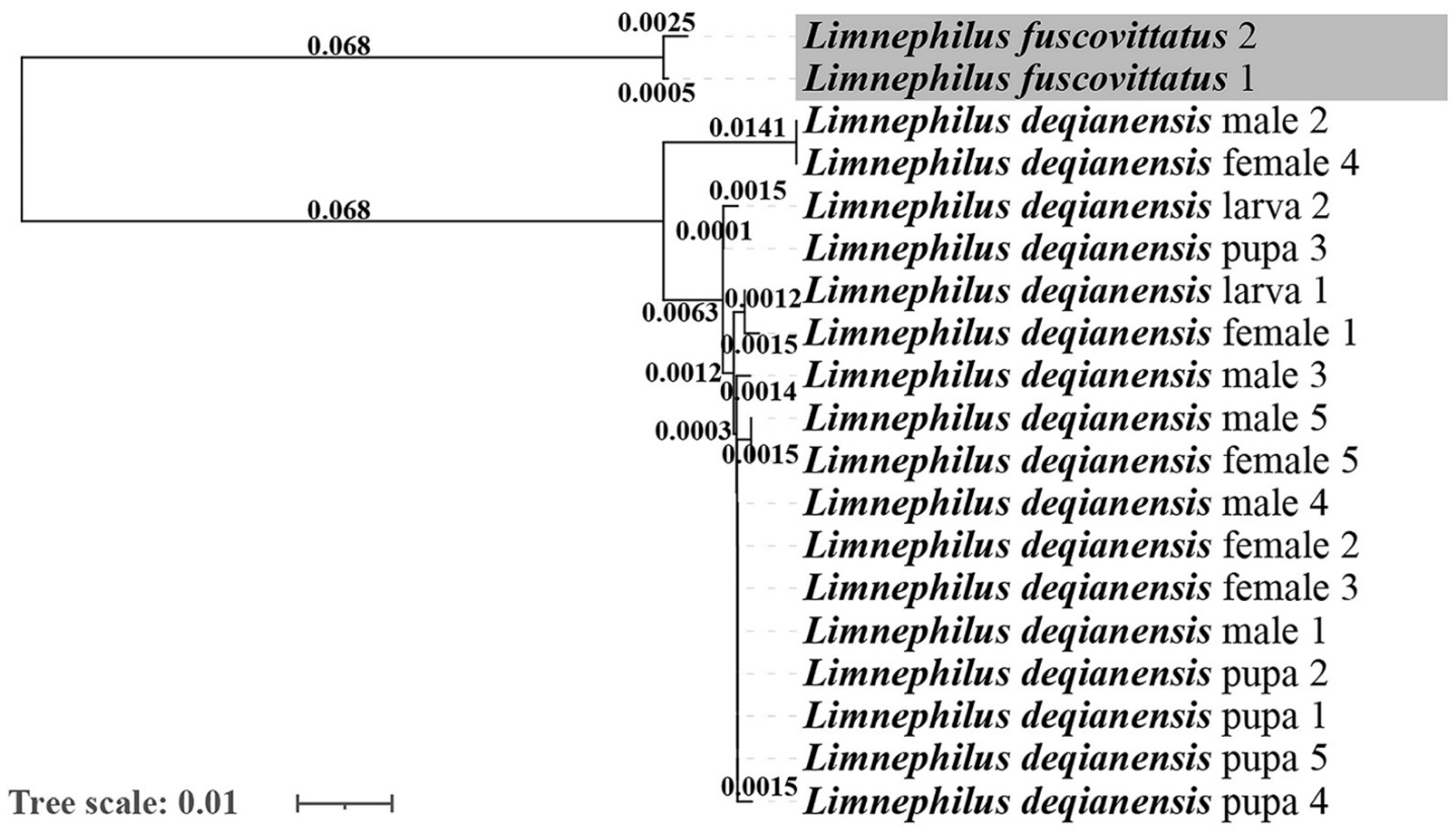 Insects 13 00653 g014
