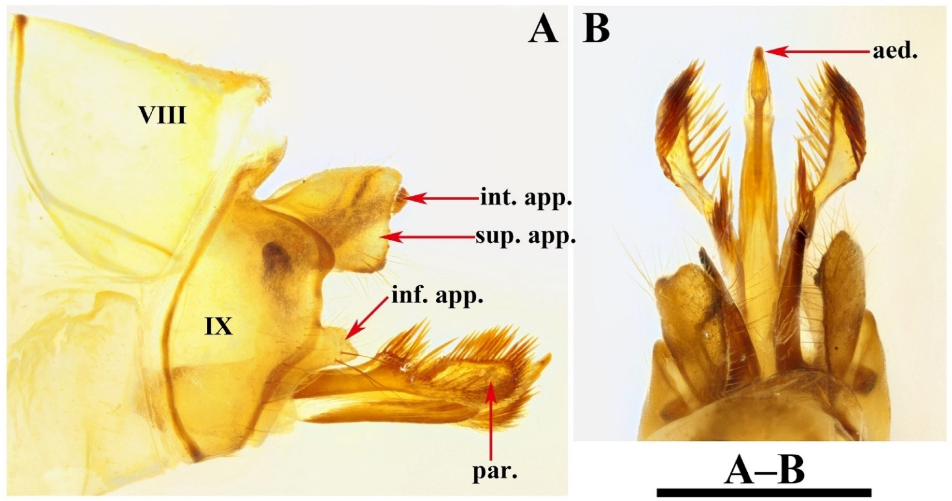 Insects 13 00653 g015