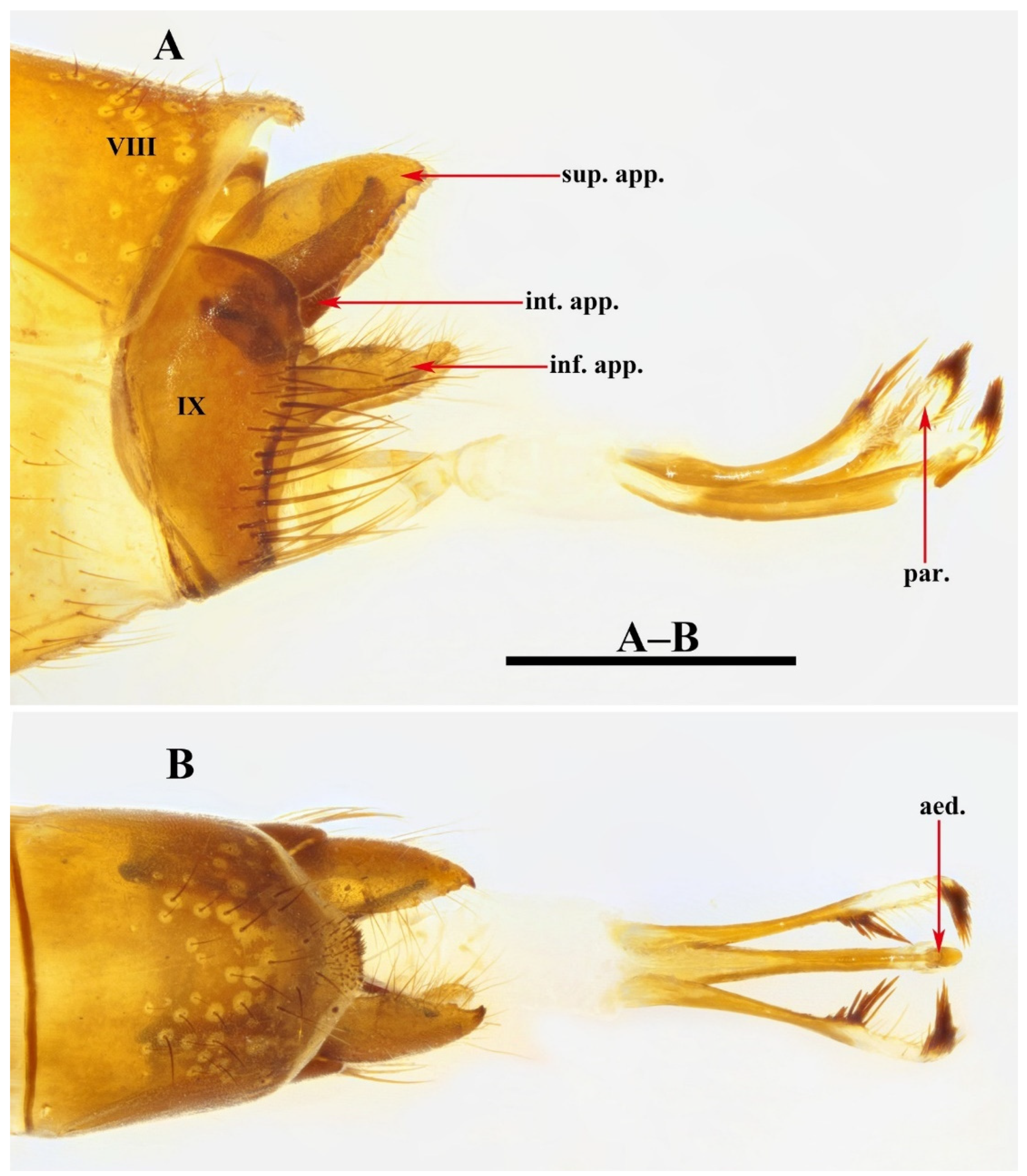 Insects 13 00653 g017
