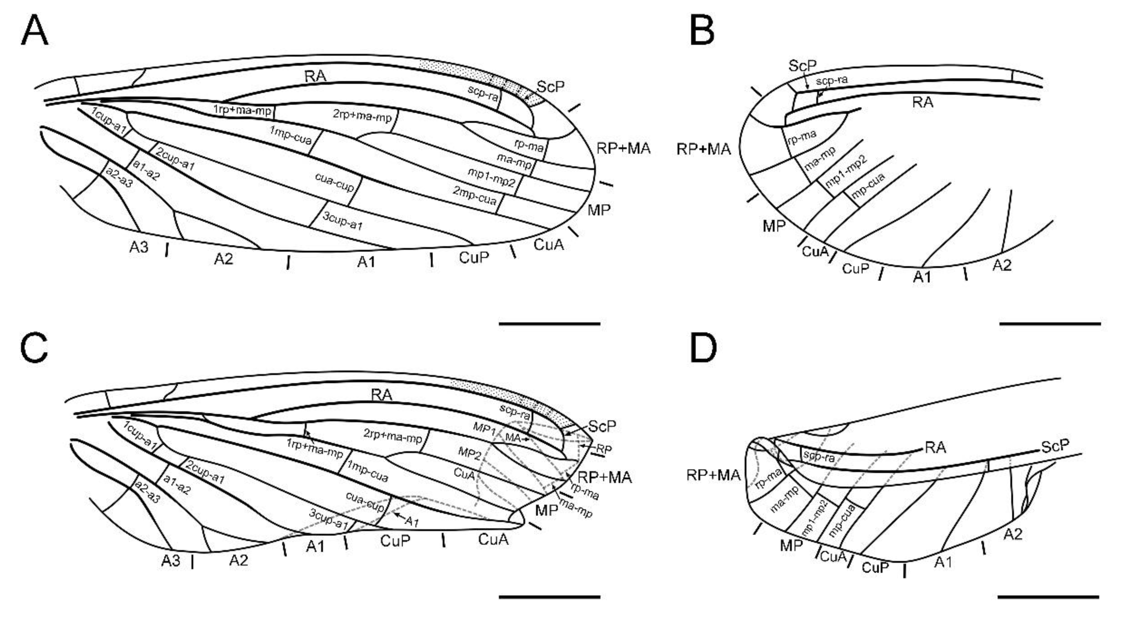 Insects 13 00654 g003