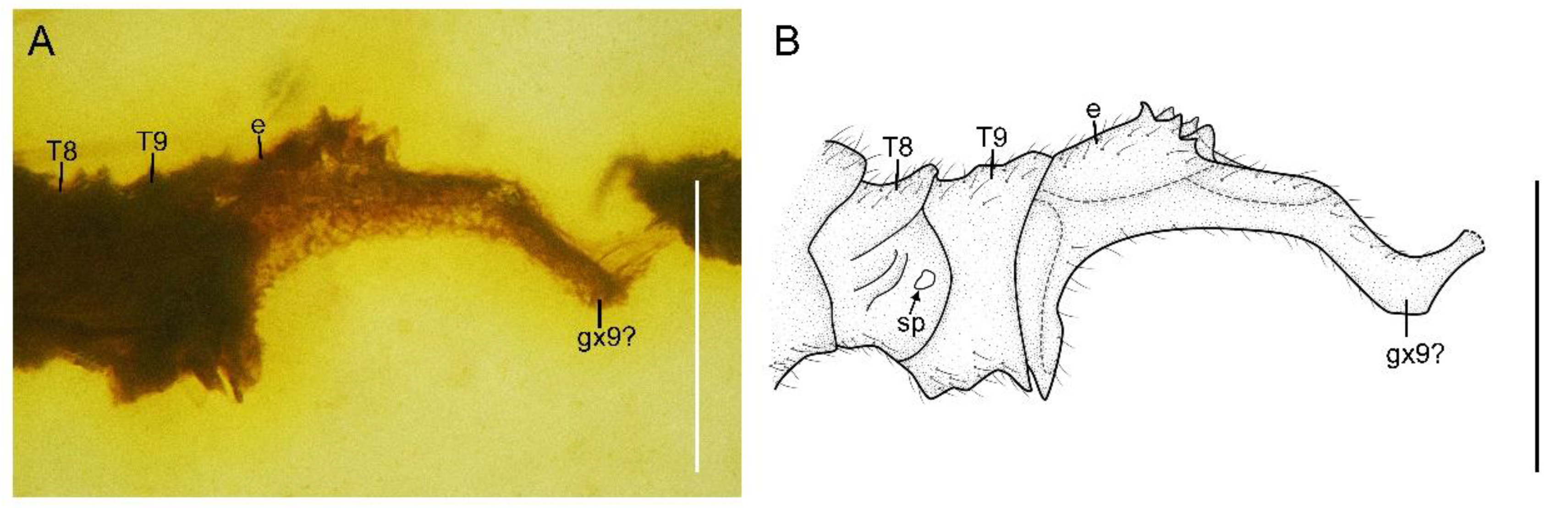 Insects 13 00654 g007