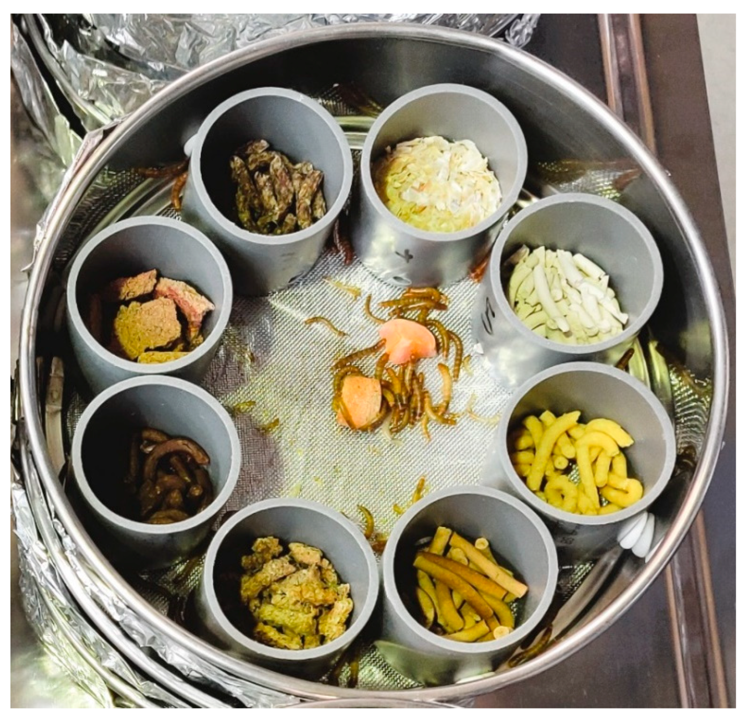 Insects 13 00657 g001