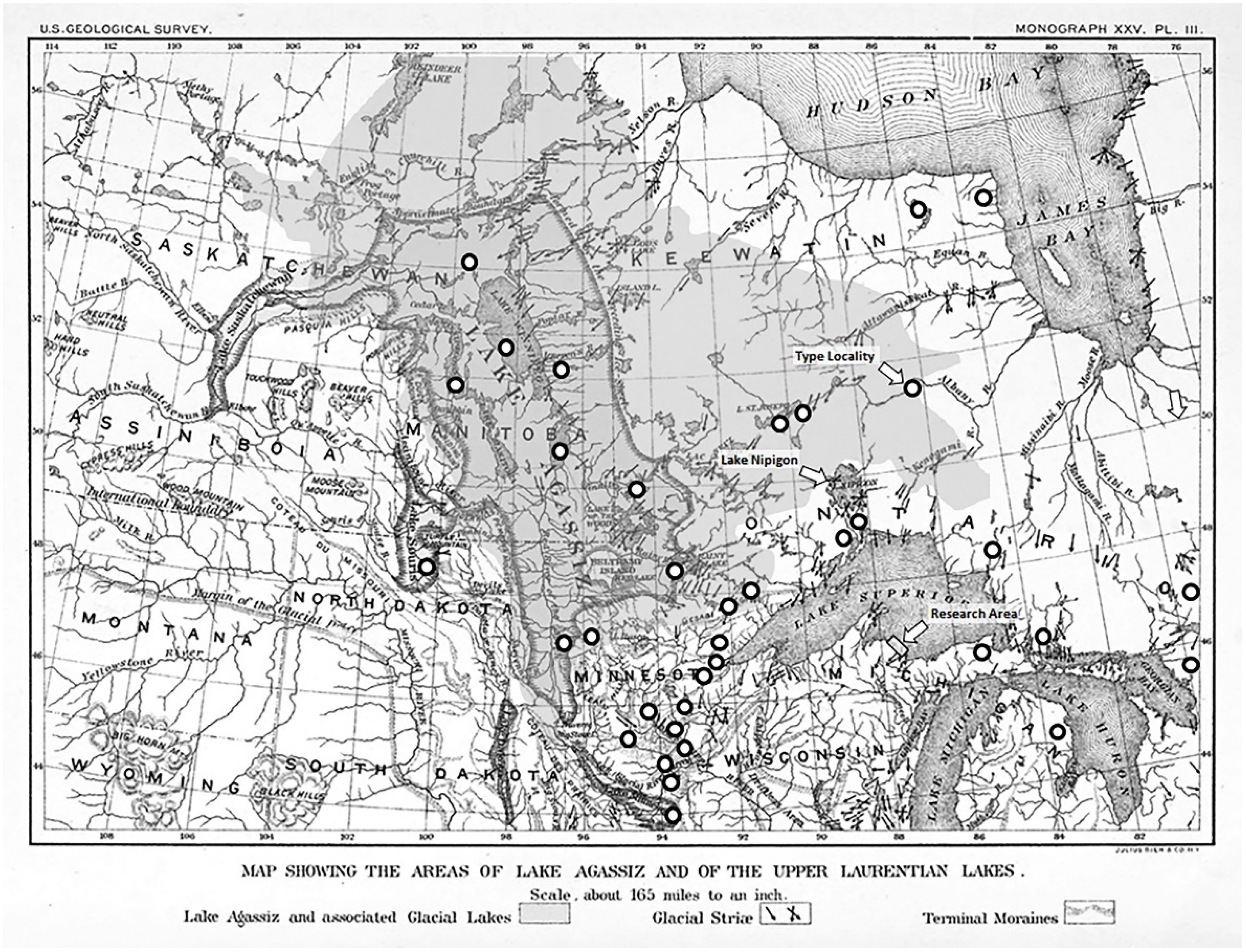 Insects 13 00659 g001 Insects 13 00659 g001