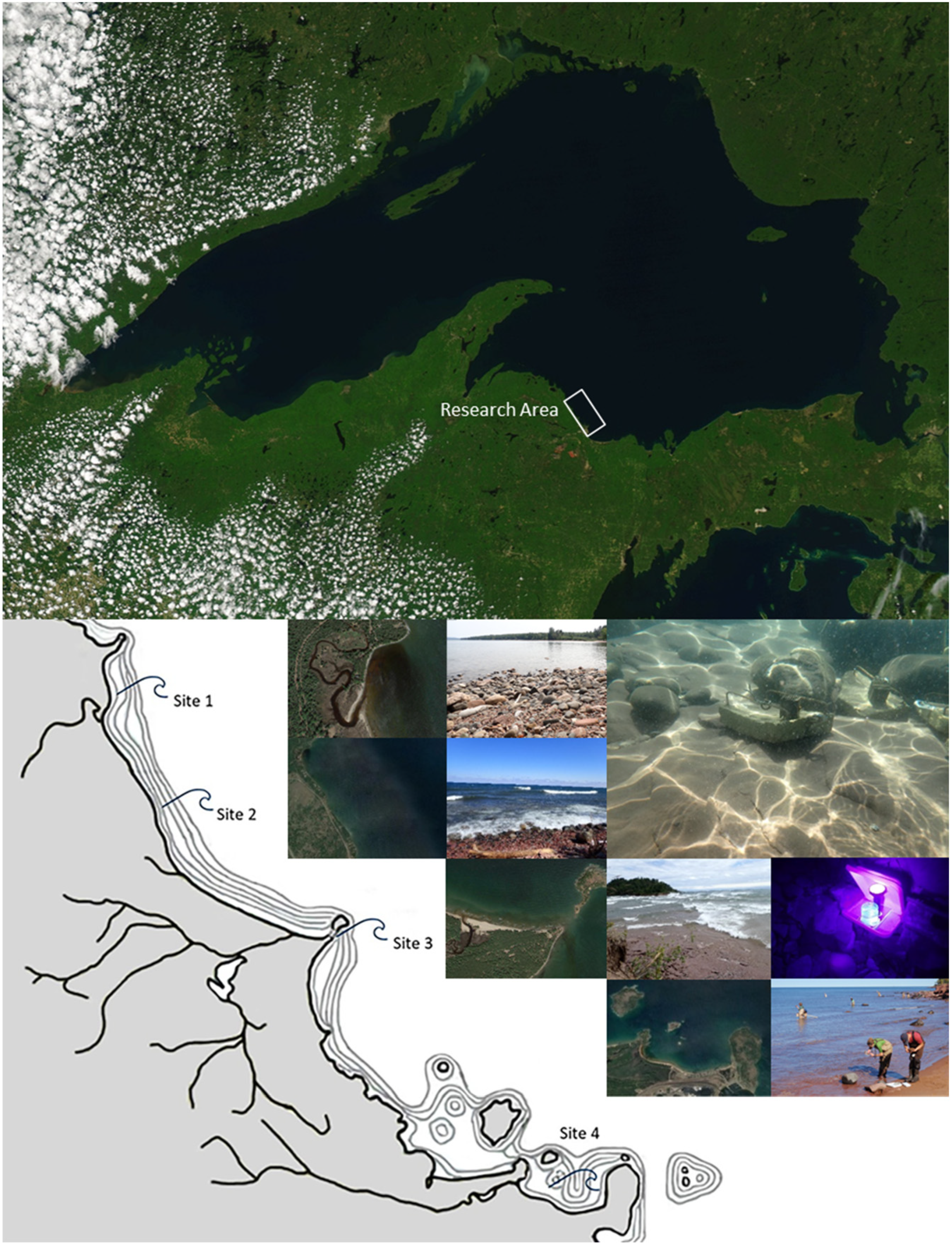 Insects 13 00659 g002 Insects 13 00659 g002